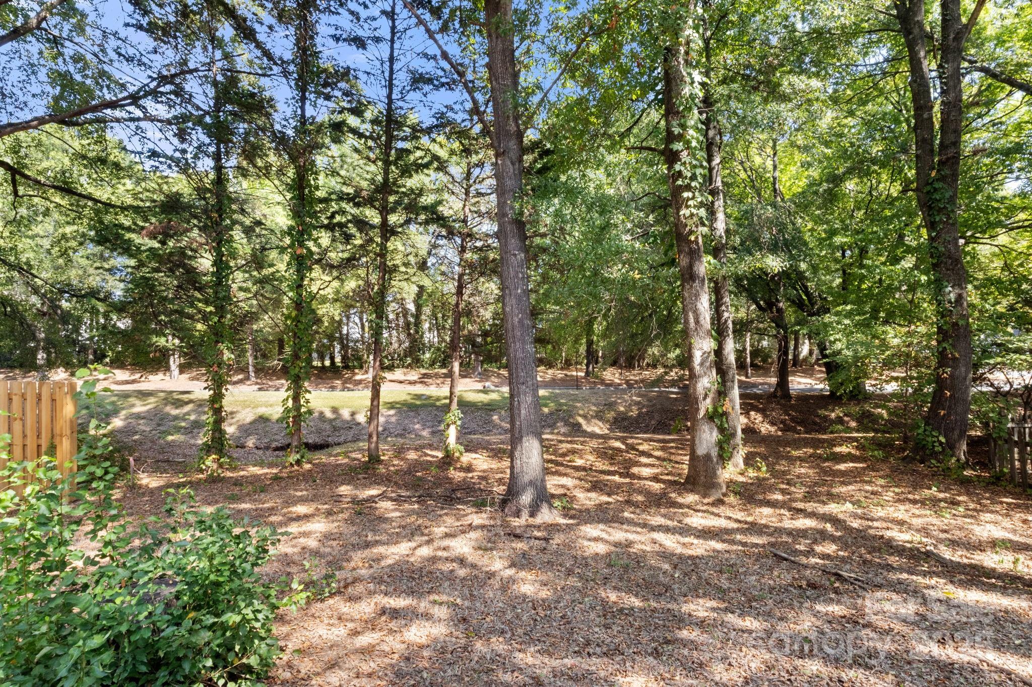 13309 Lampmeade Lane Property Photo 29