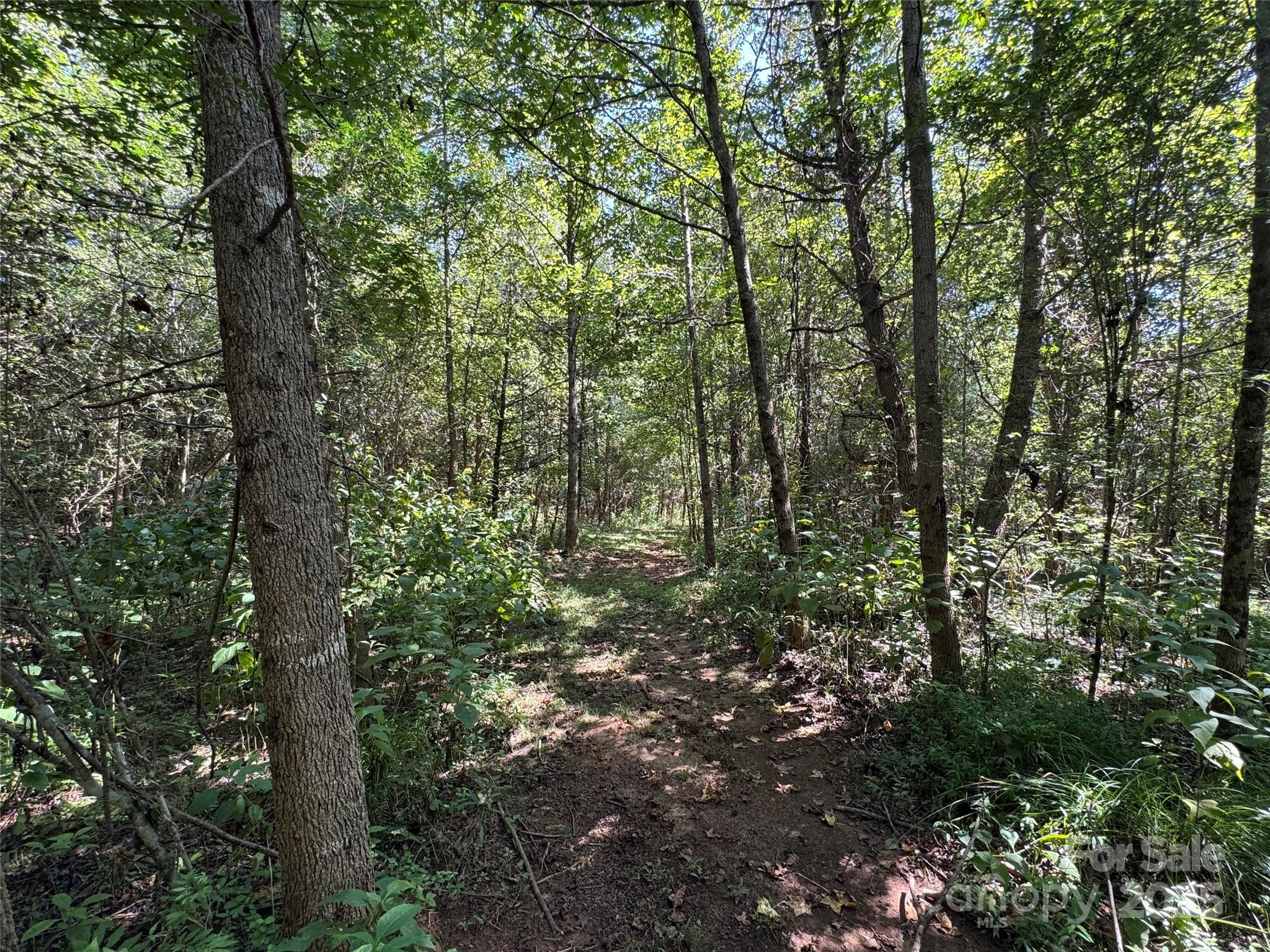 5963 Peniel Road Property Photo 16
