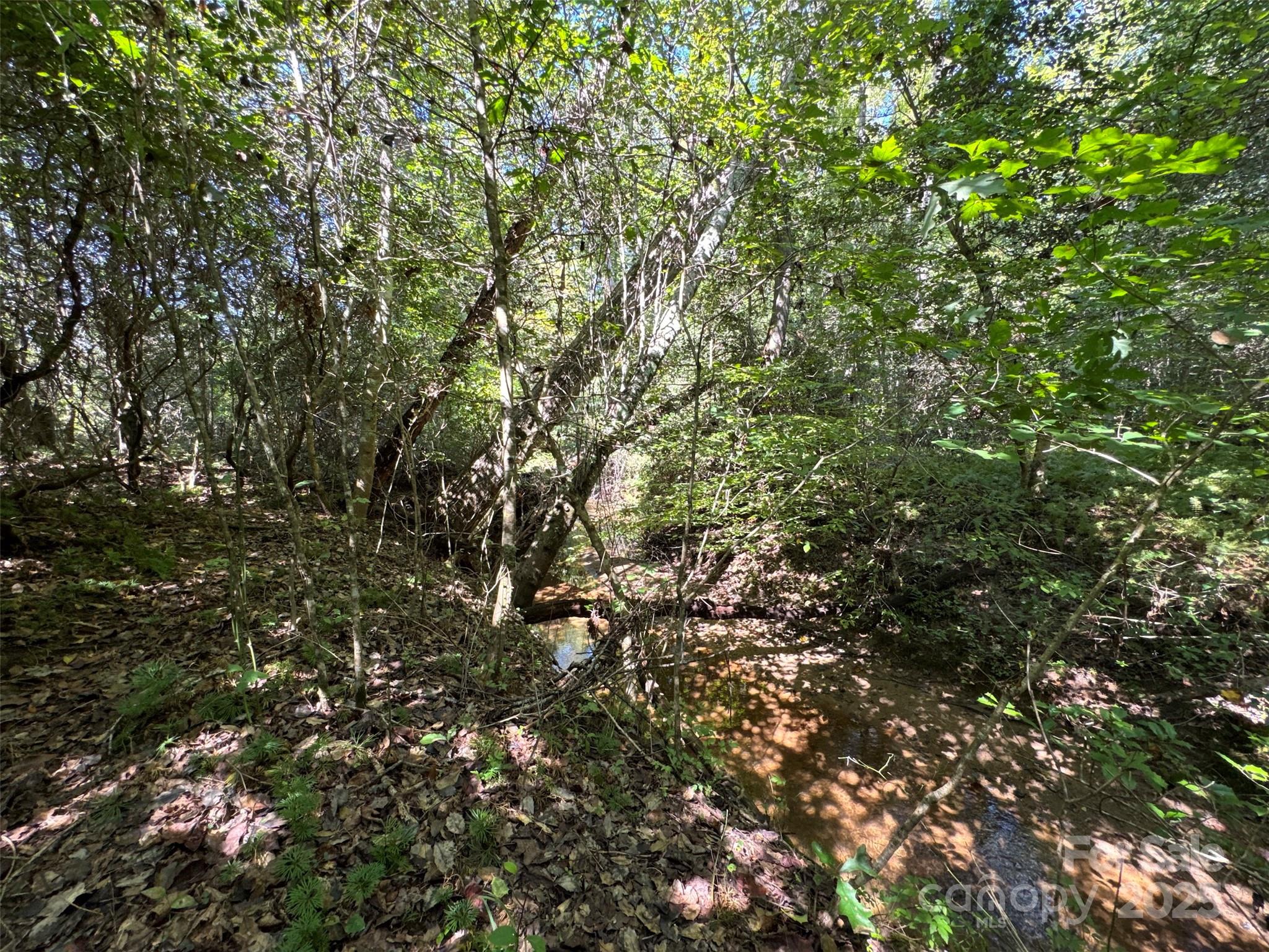 5963 Peniel Road Property Photo 18