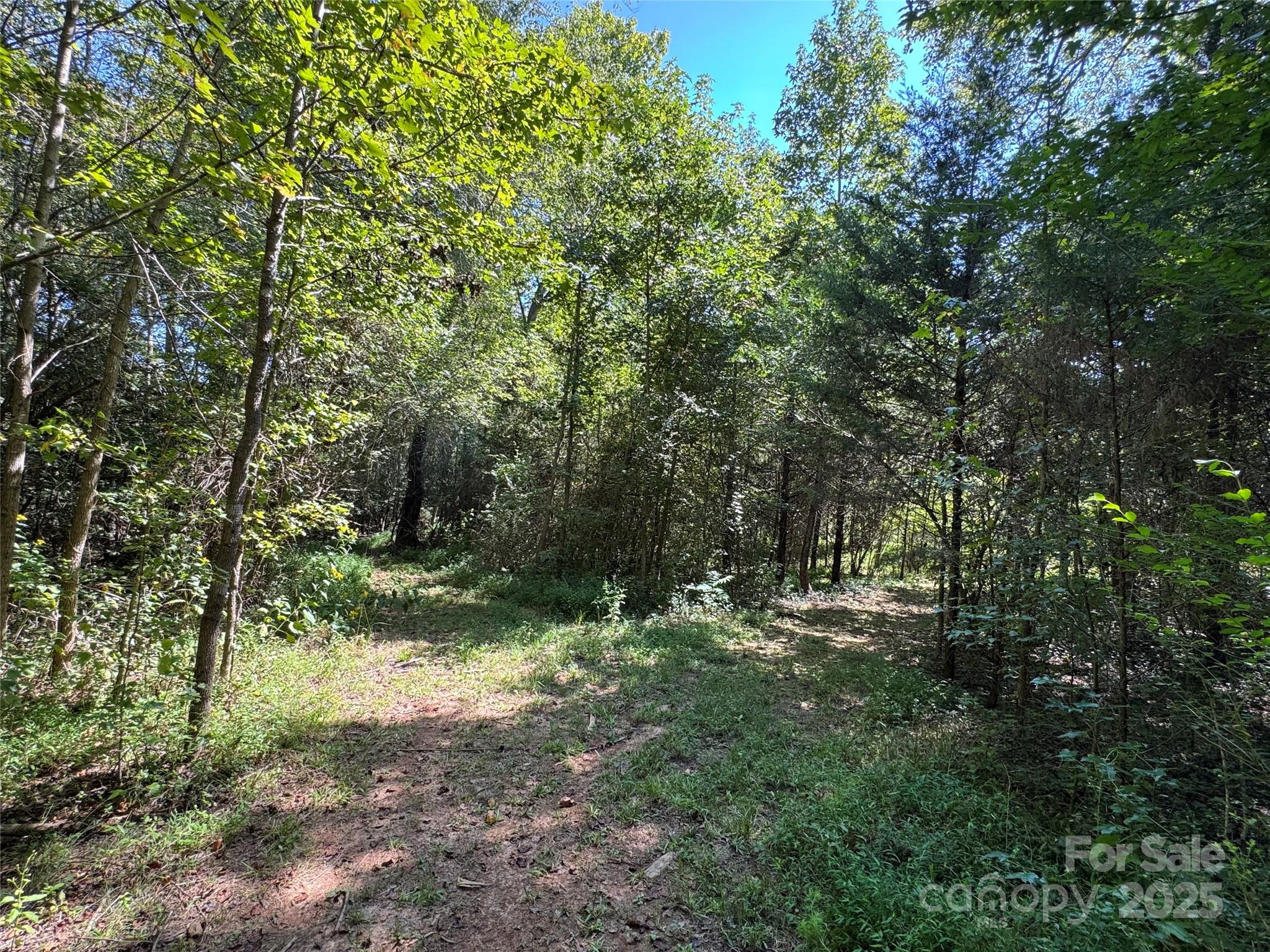 5963 Peniel Road Property Photo 19