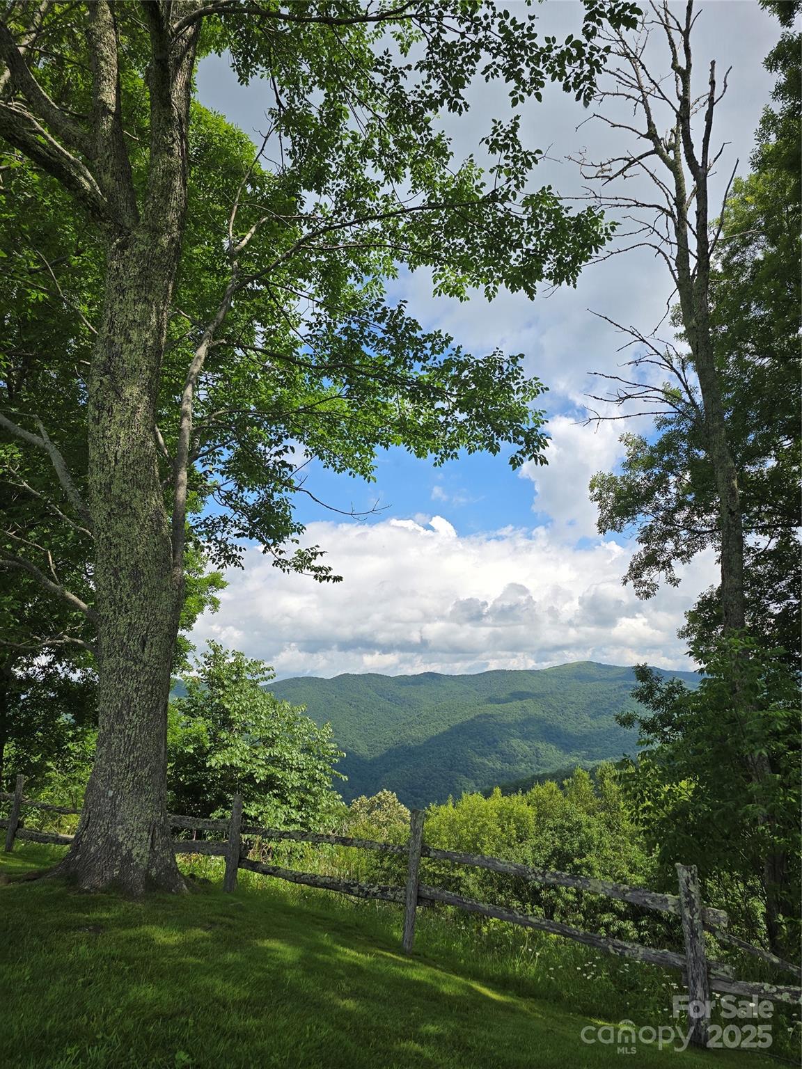 9.83 Acres Juniper Road 23 Property Photo 3