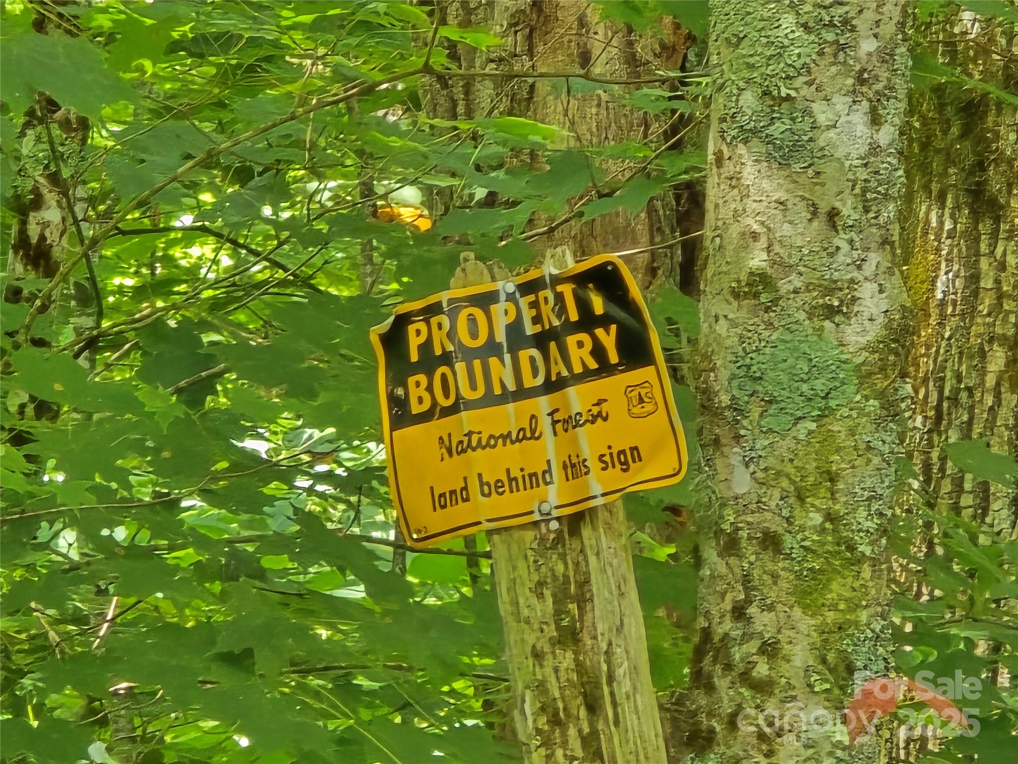 9.83 Acres Juniper Road 23 Property Photo 6