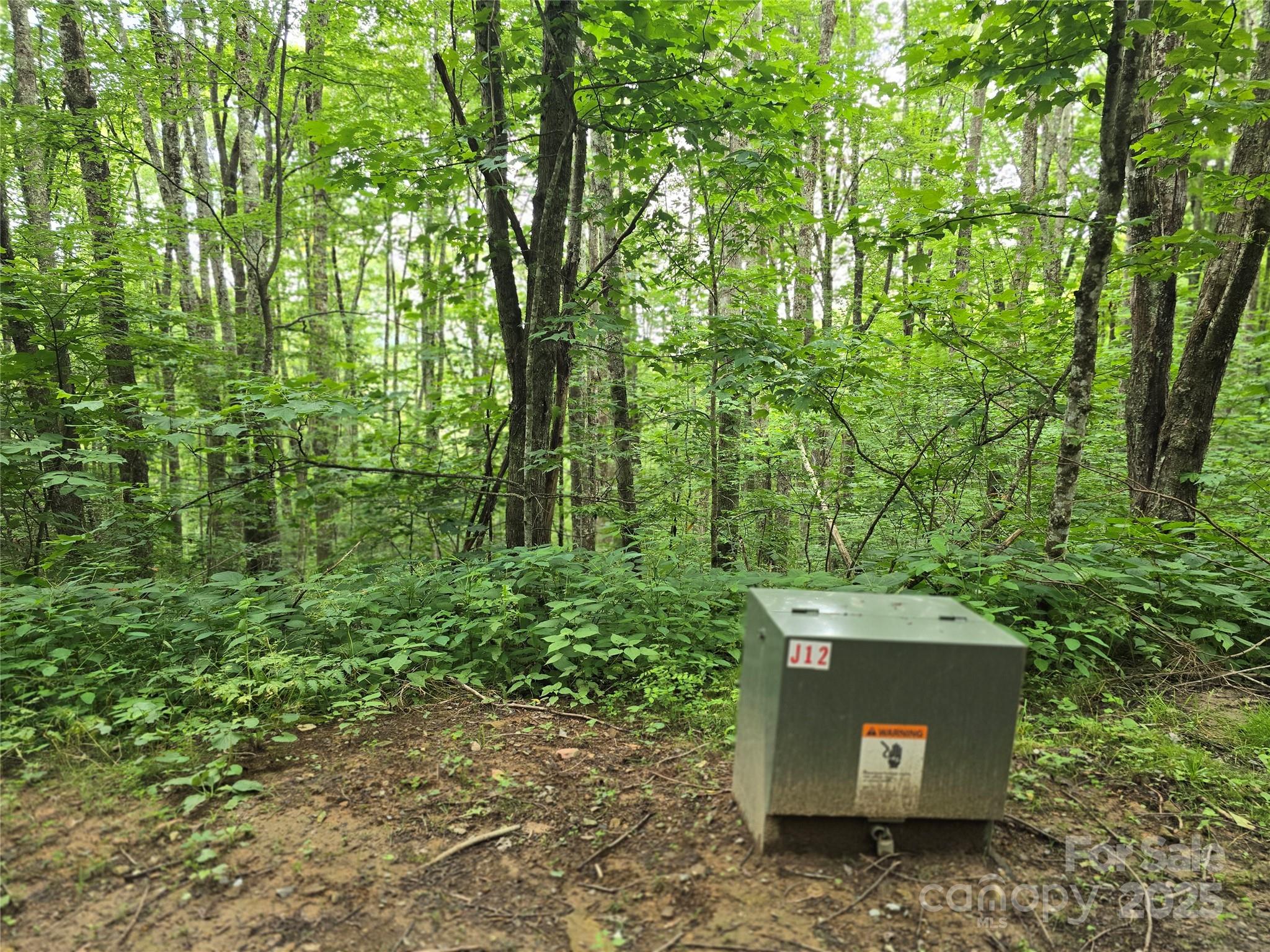 9.83 Acres Juniper Road 23 Property Photo 8