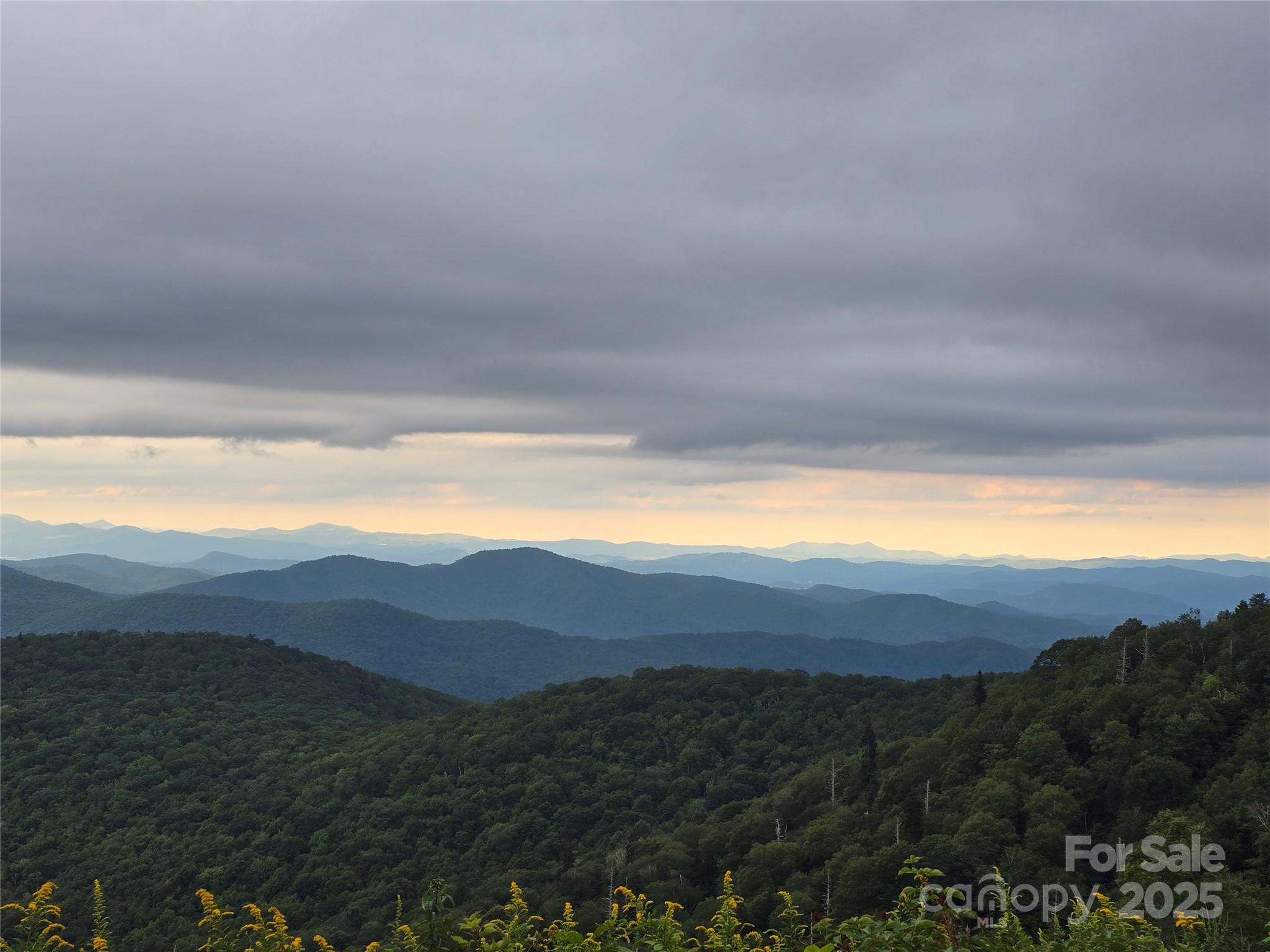 9.83 Acres Juniper Road 23 Property Photo 10