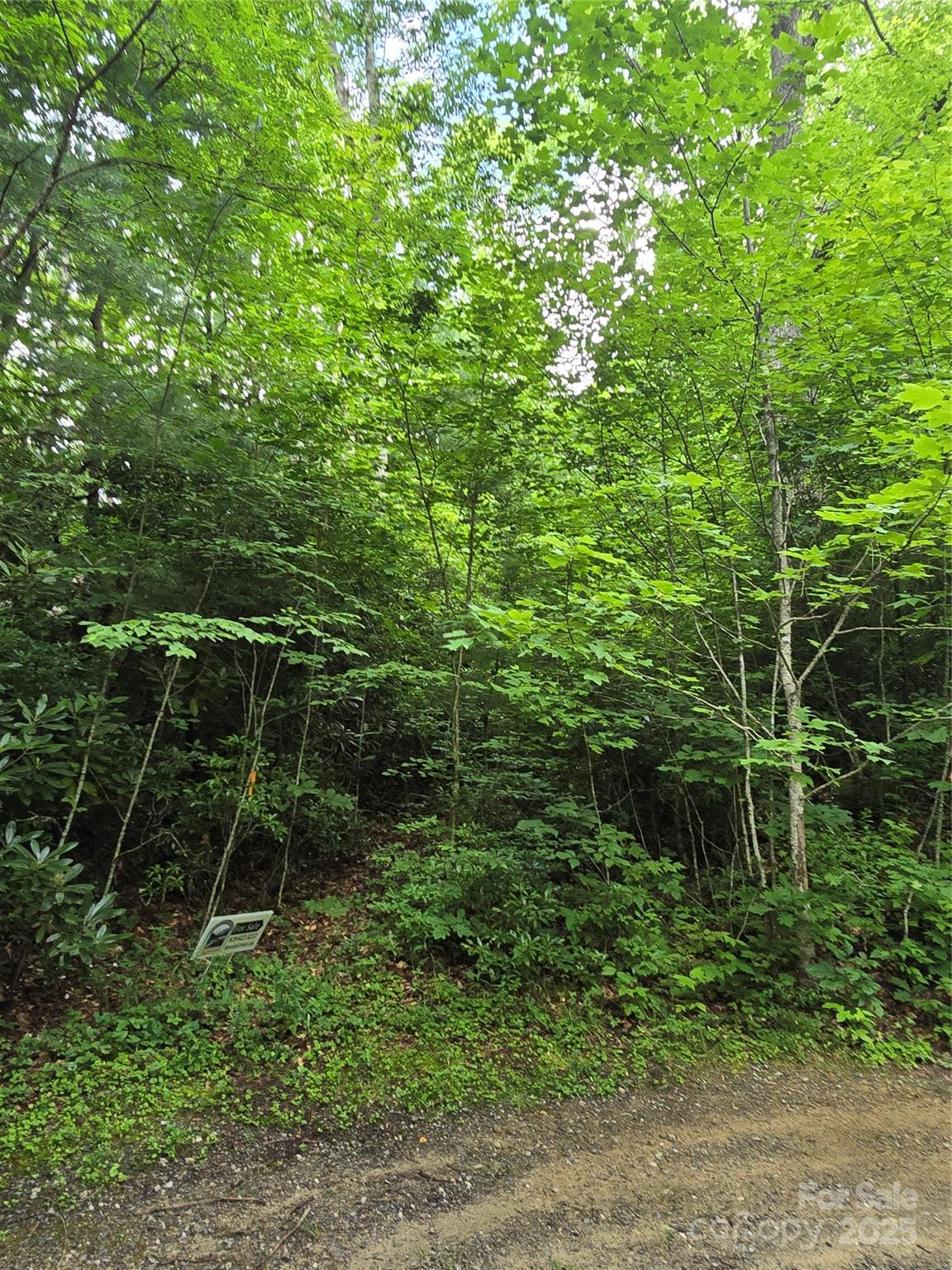 9.83 Acres Juniper Road 23 Property Photo 13