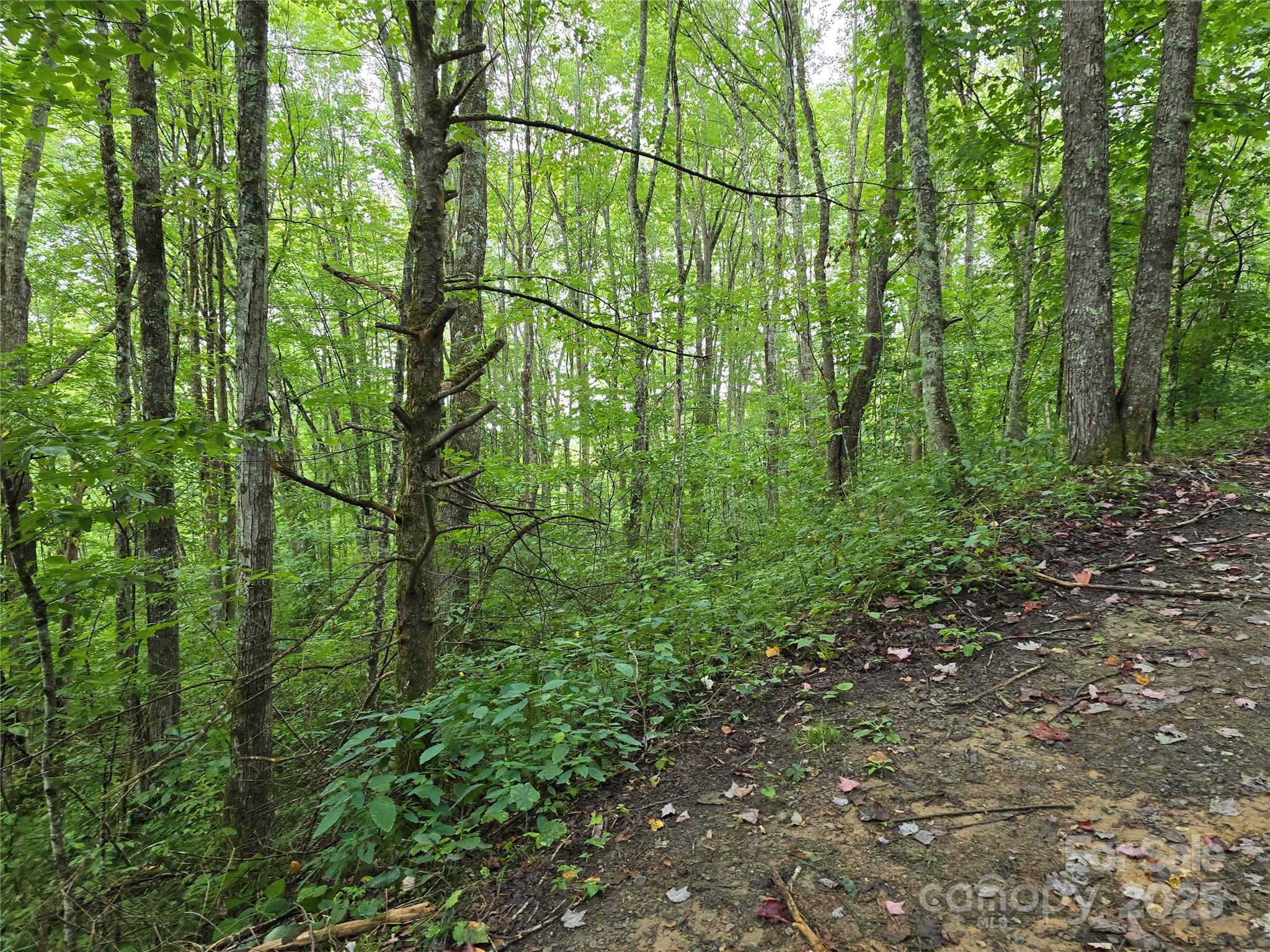 9.83 Acres Juniper Road 23 Property Photo 16