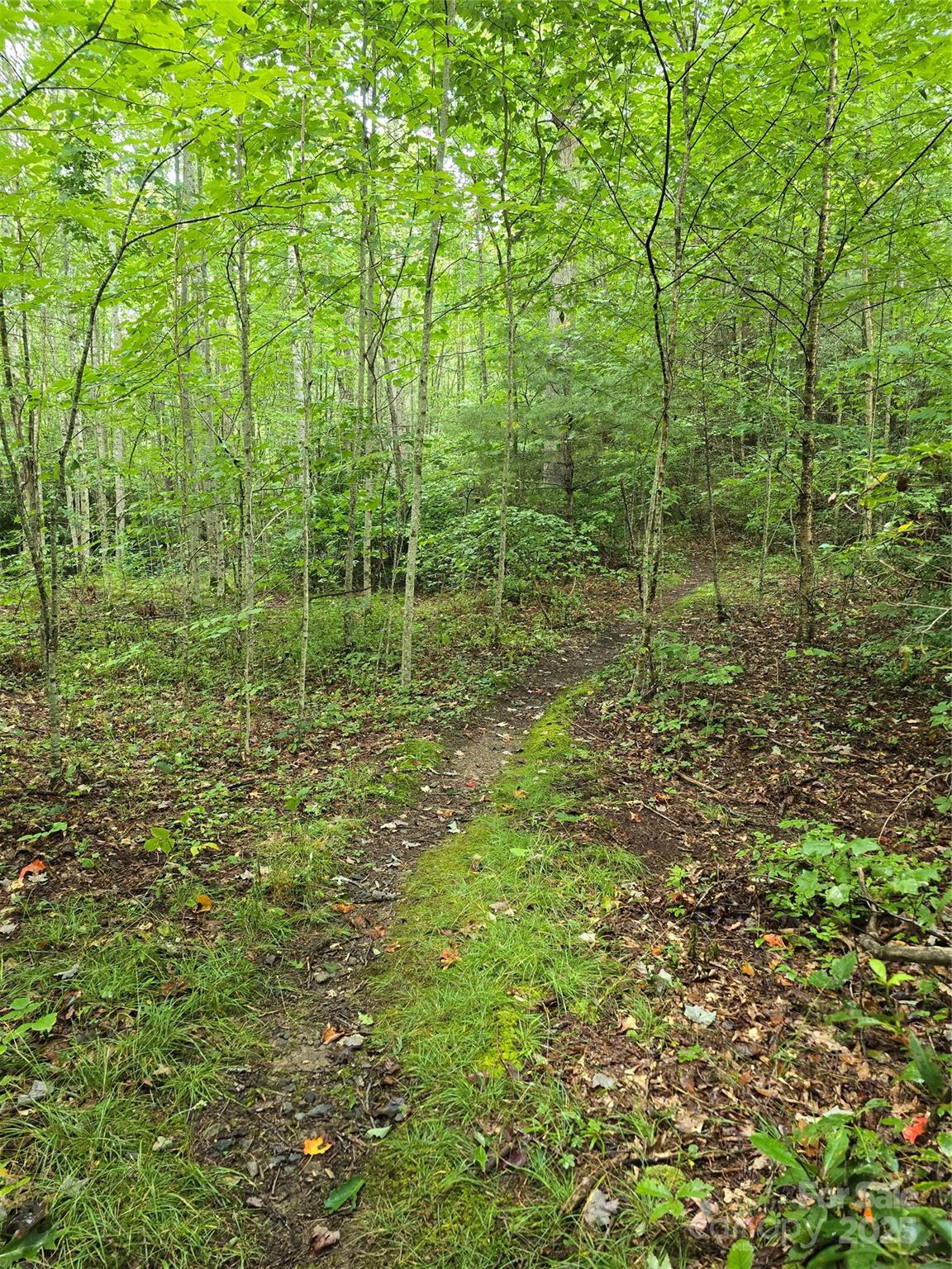 9.83 Acres Juniper Road 23 Property Photo 17