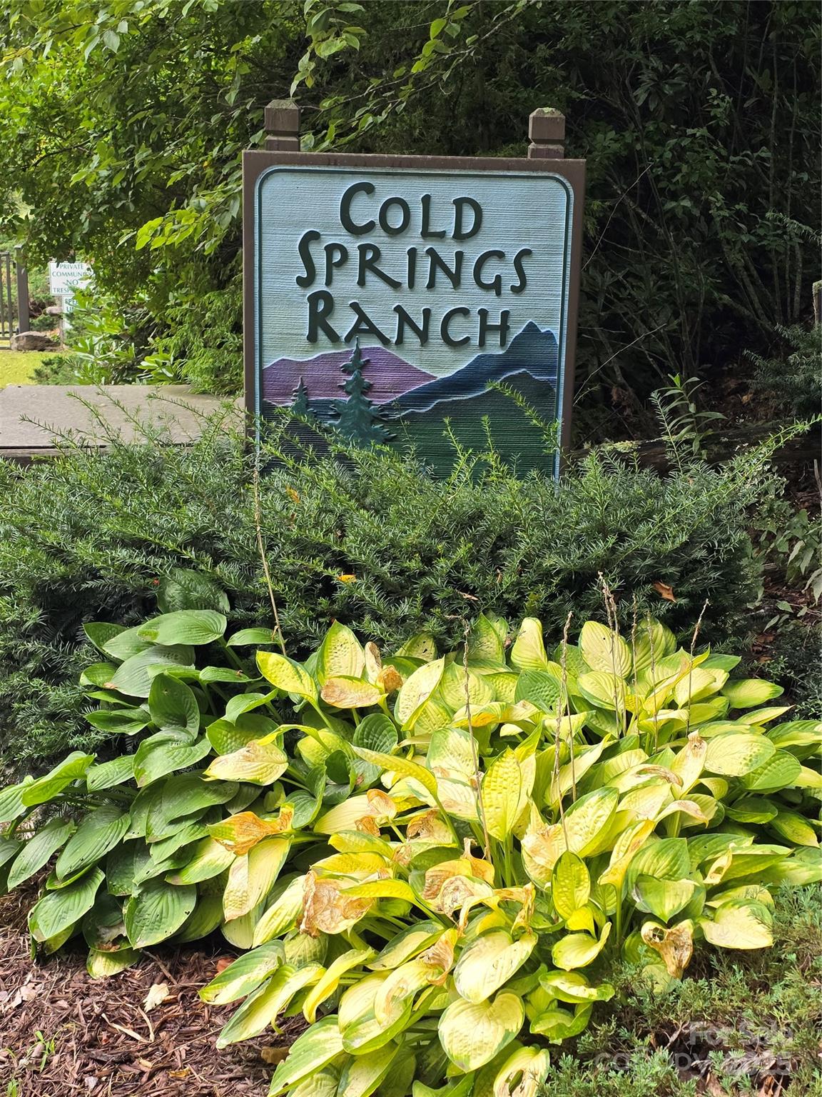 9.83 Acres Juniper Road 23 Property Photo 24