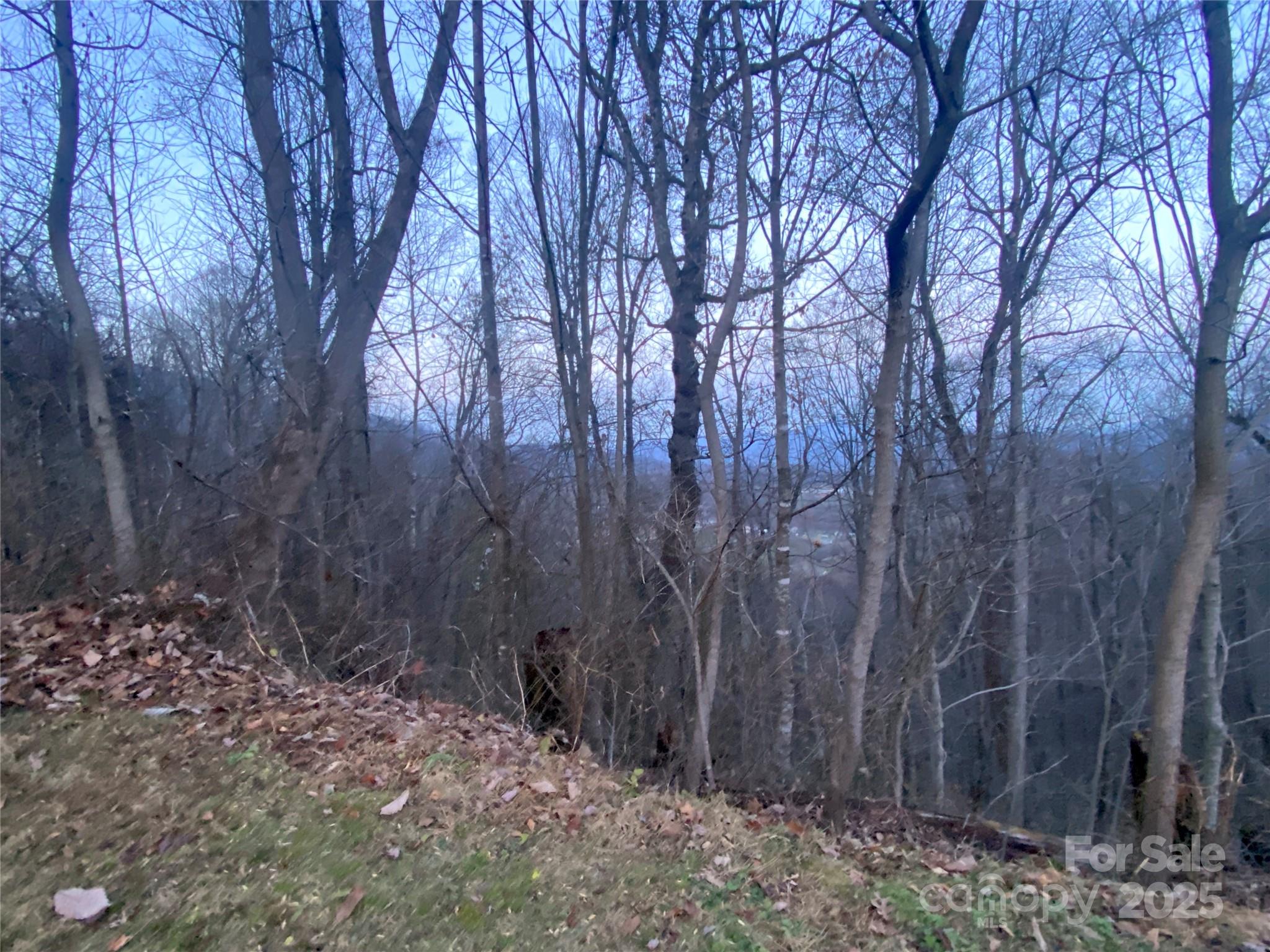 0 Asa Trail Property Photo 3