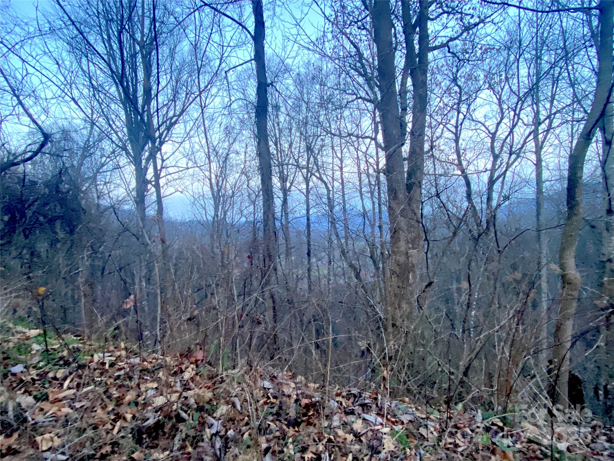0 Asa Trail Property Photo 4