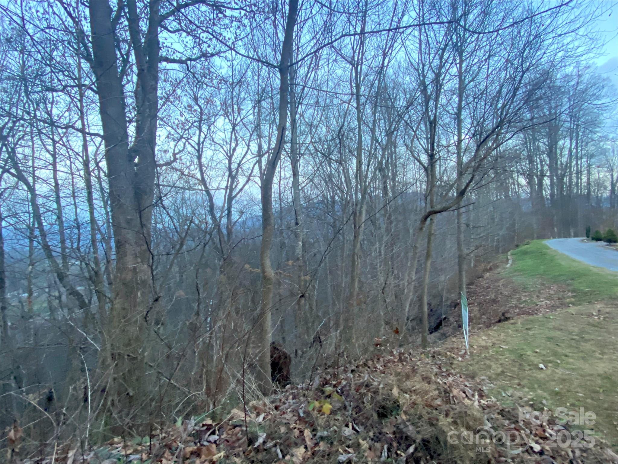 0 Asa Trail Property Photo 5
