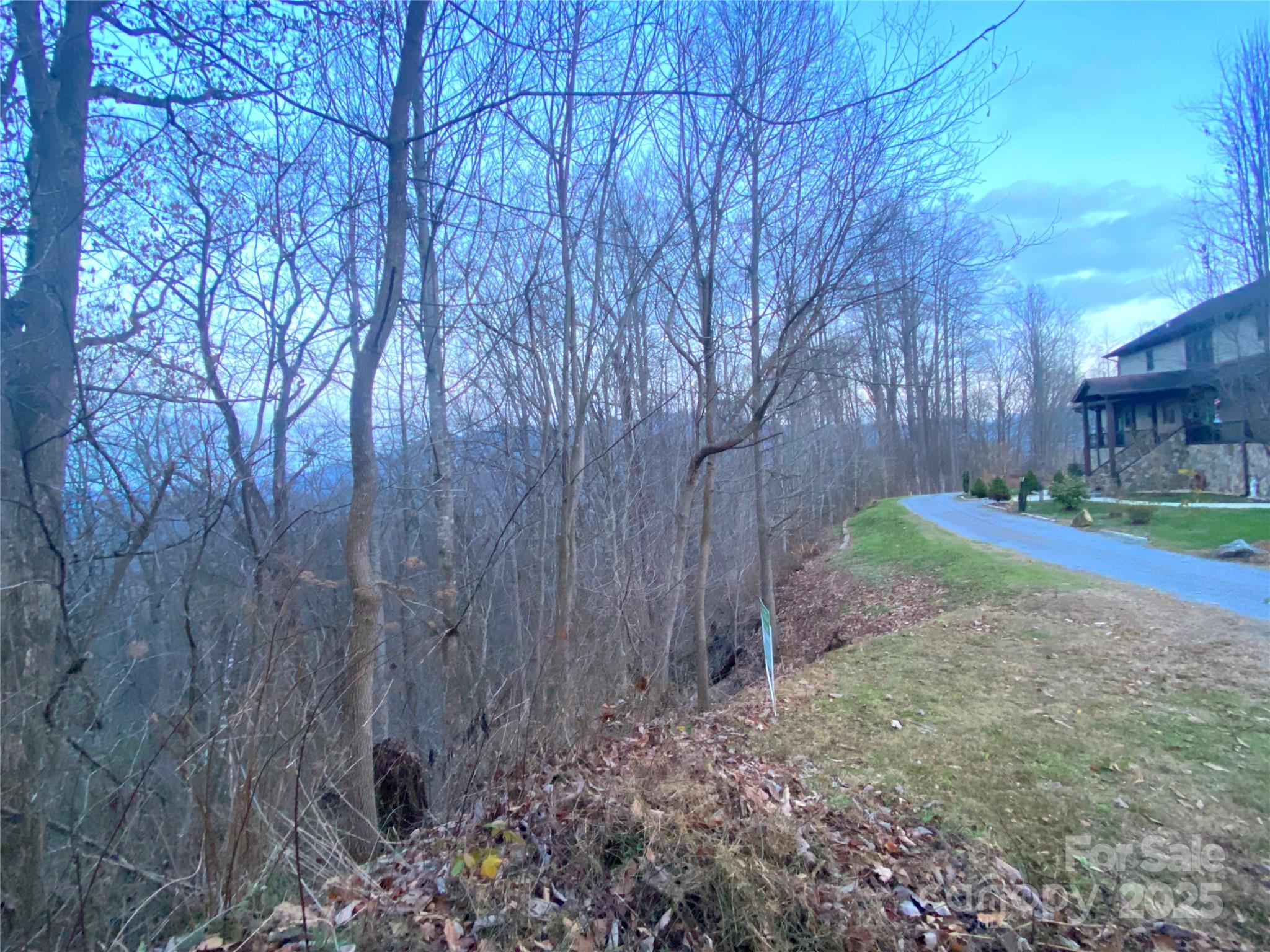 0 Asa Trail Property Photo 6