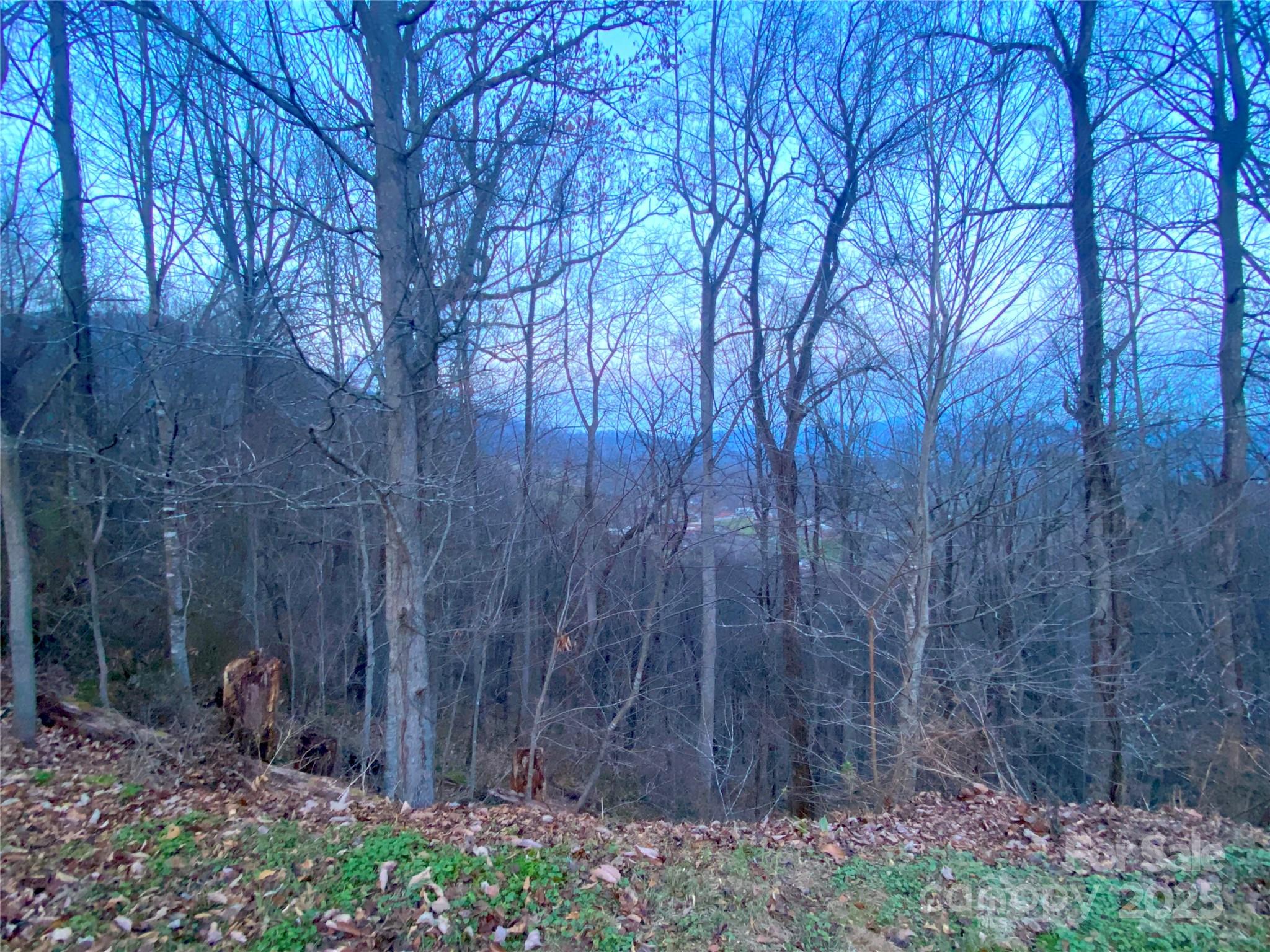 0 Asa Trail Property Photo 7