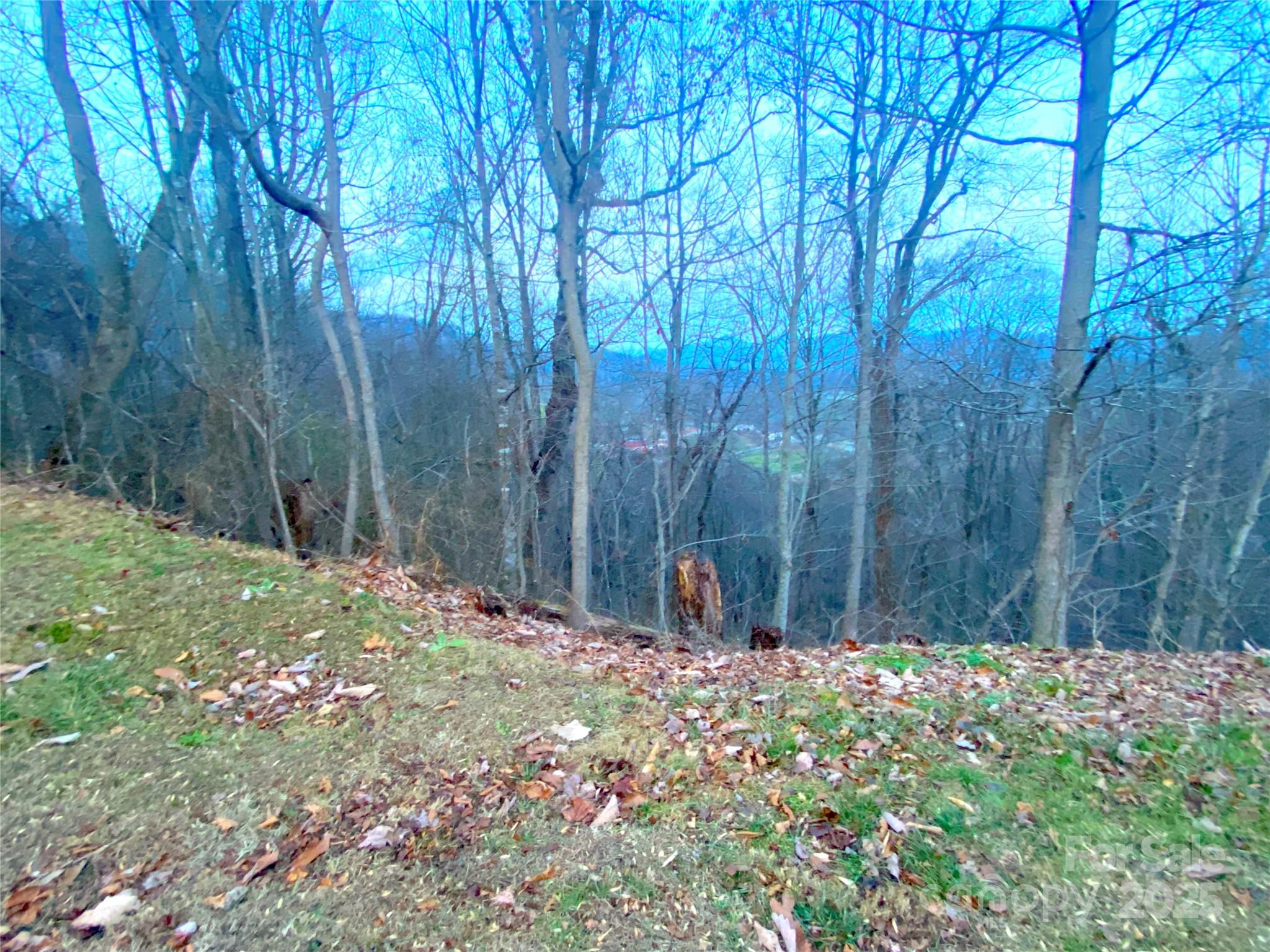 0 Asa Trail Property Photo 10