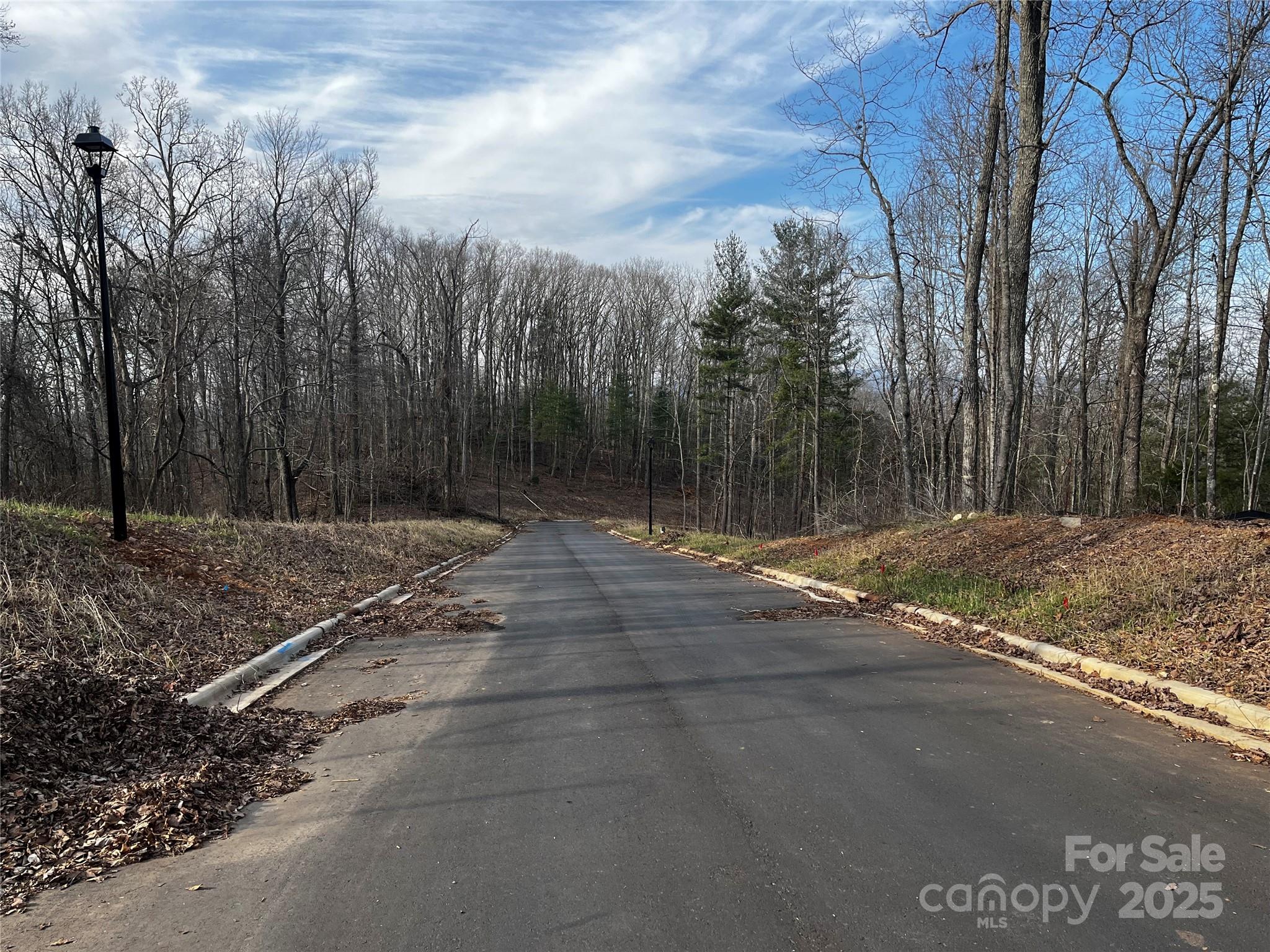 105 Woodland Meadows Drive Tract A & B Property Photo 6