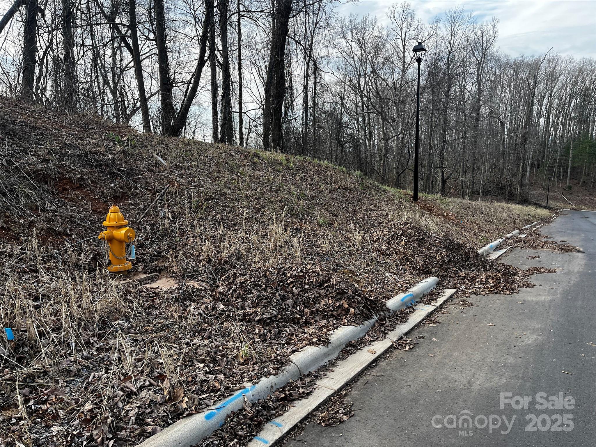 105 Woodland Meadows Drive Tract A & B Property Photo 7