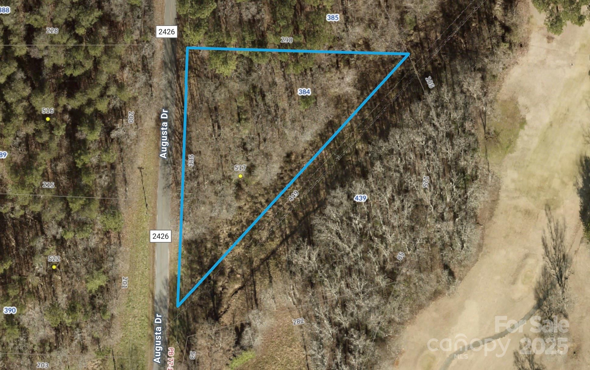 517 Augusta Drive Property Photo 1