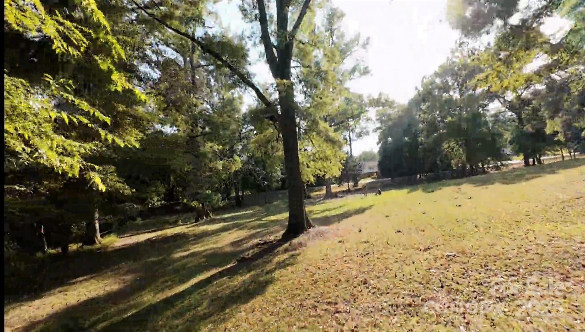 3943 Walker Road Property Photo 1