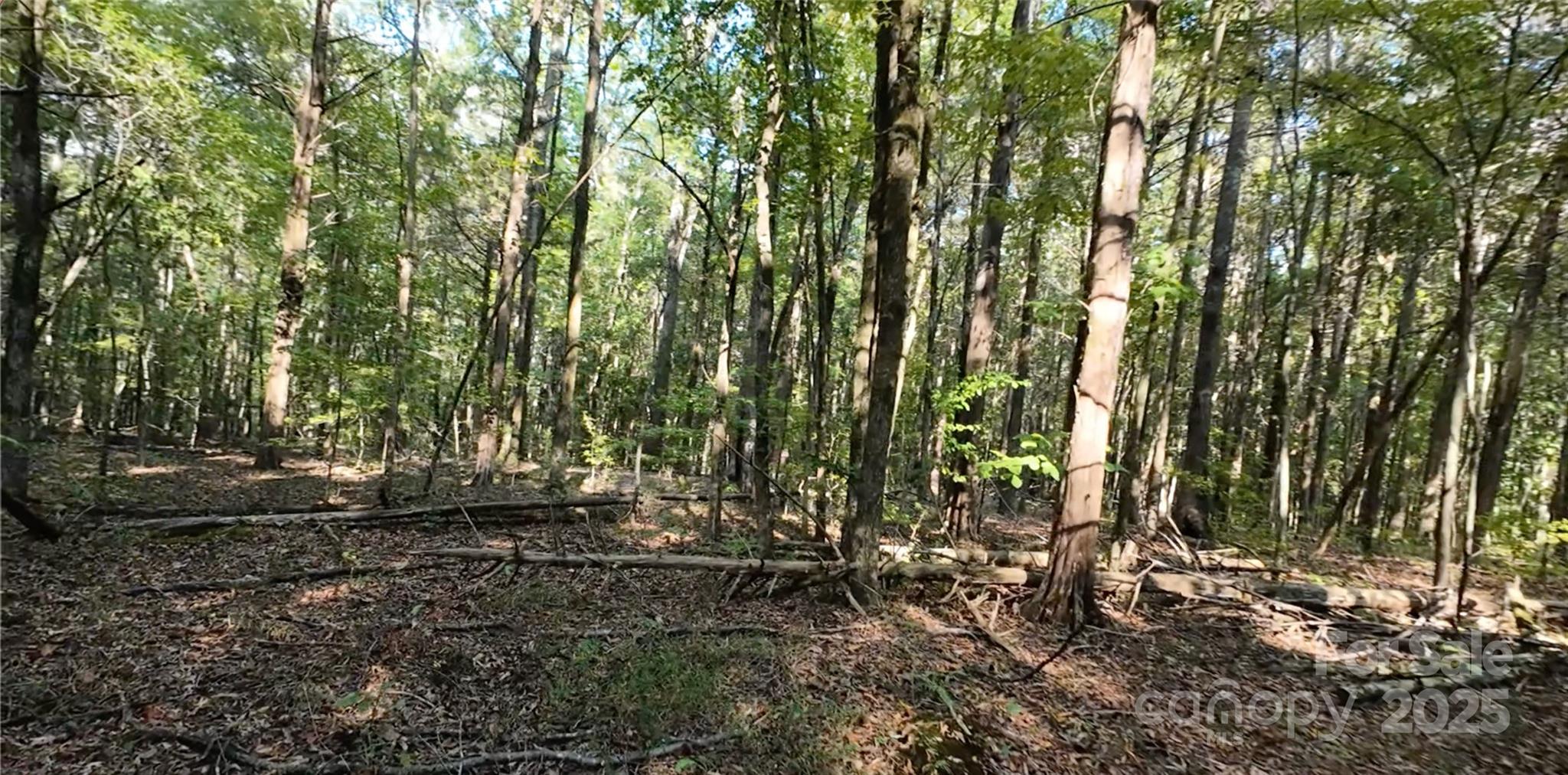 3943 Walker Road Property Photo 6