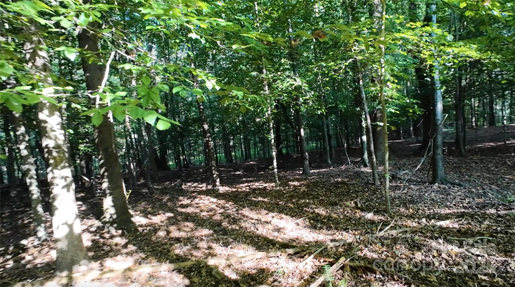 3943 Walker Road Property Photo 8