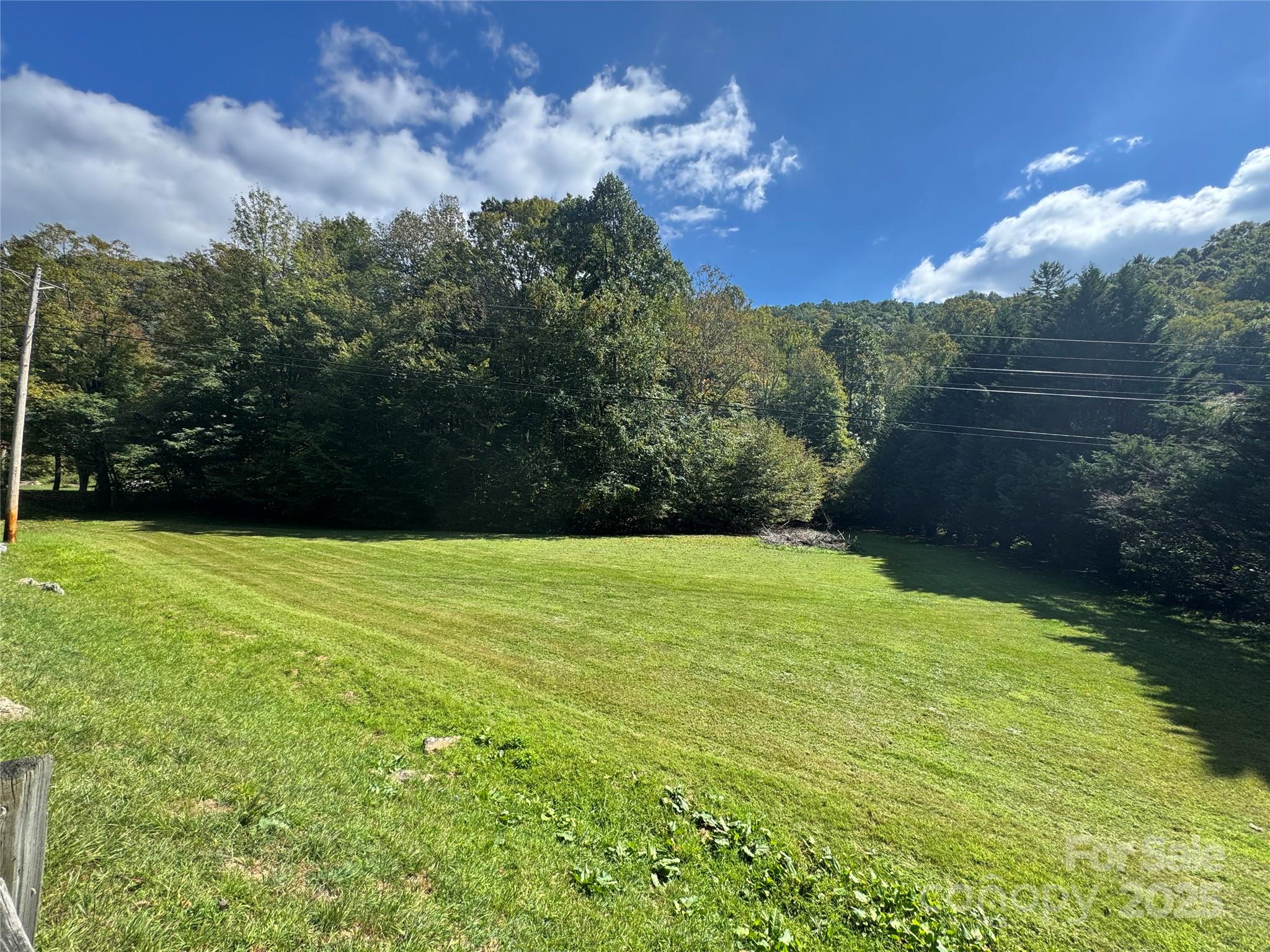 00 Puncheon Fork Road Property Photo 2