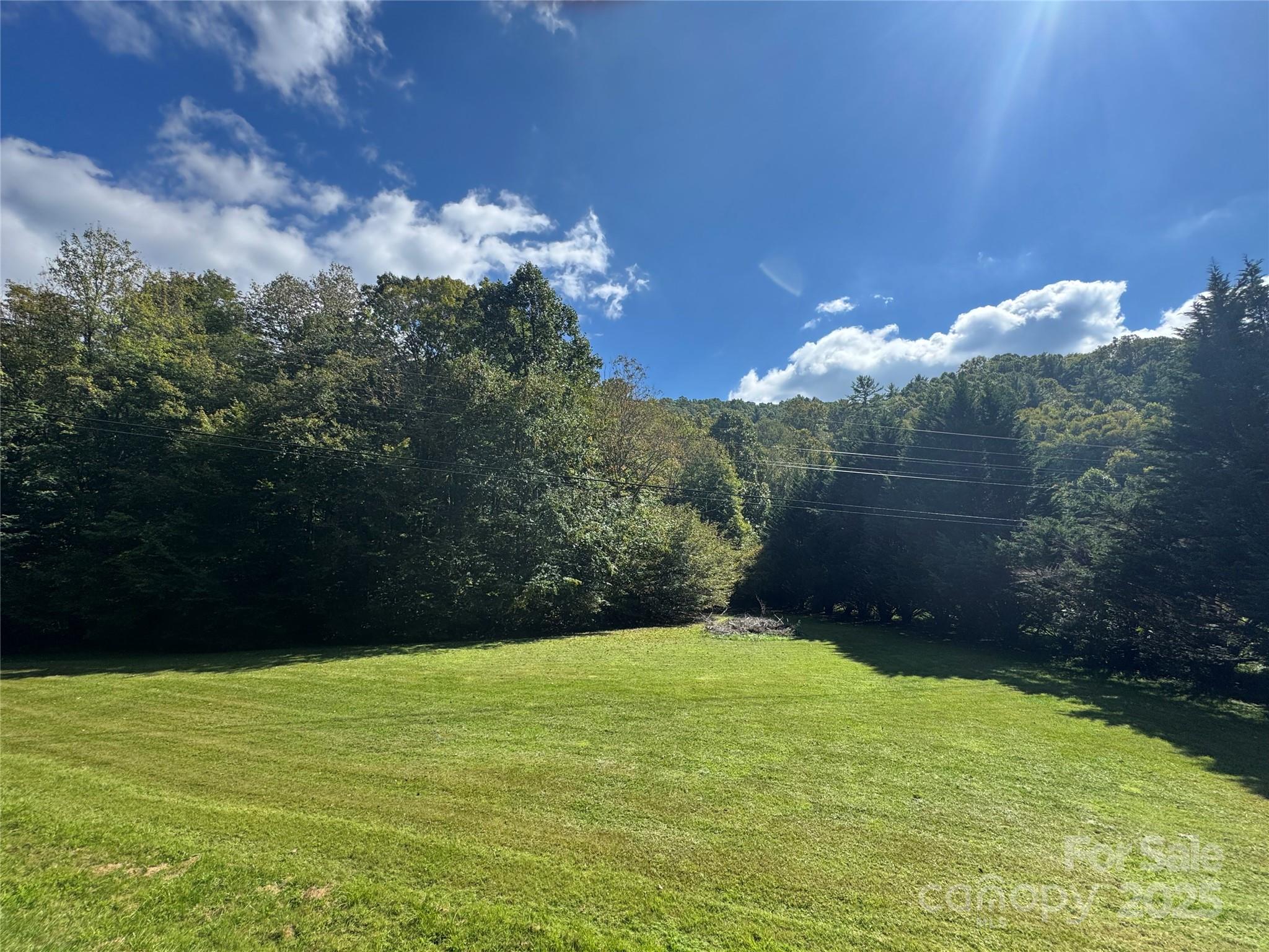00 Puncheon Fork Road Property Photo 3