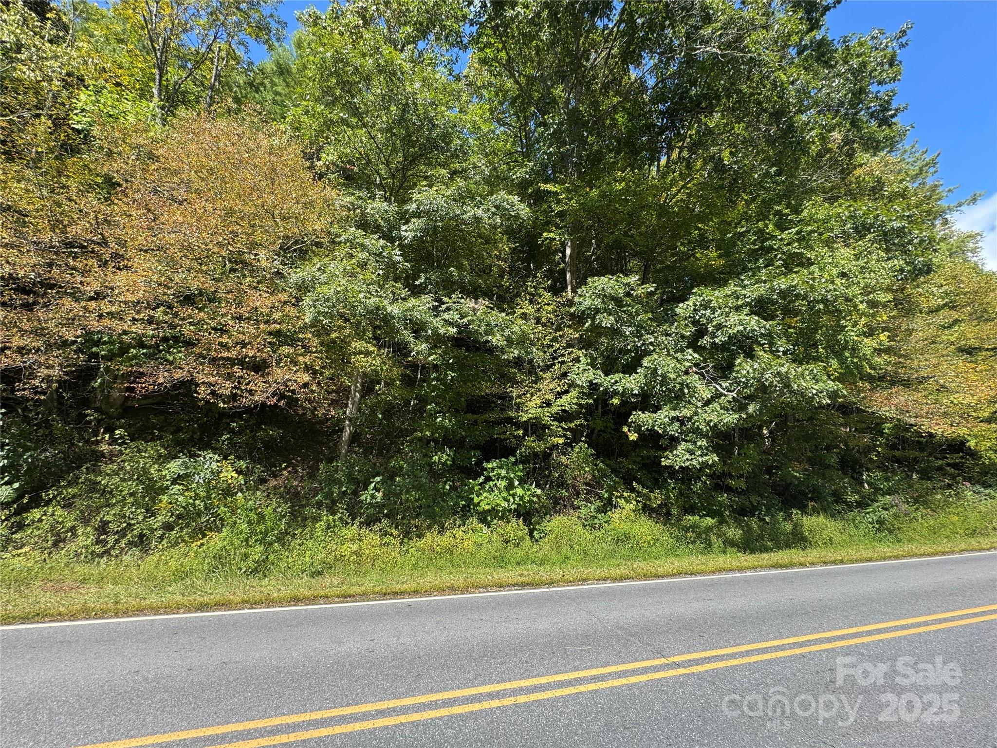 00 Puncheon Fork Road Property Photo 6