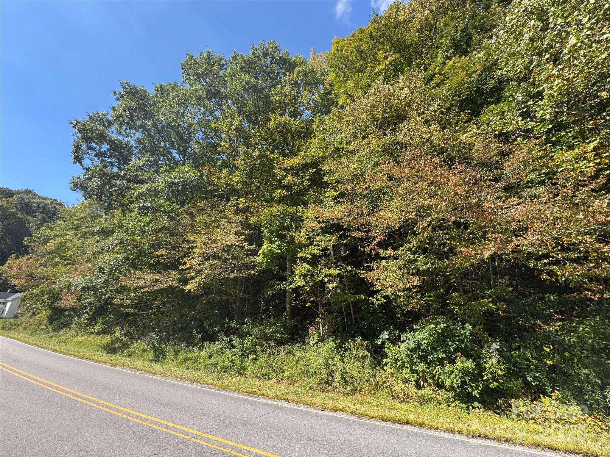 00 Puncheon Fork Road Property Photo 7