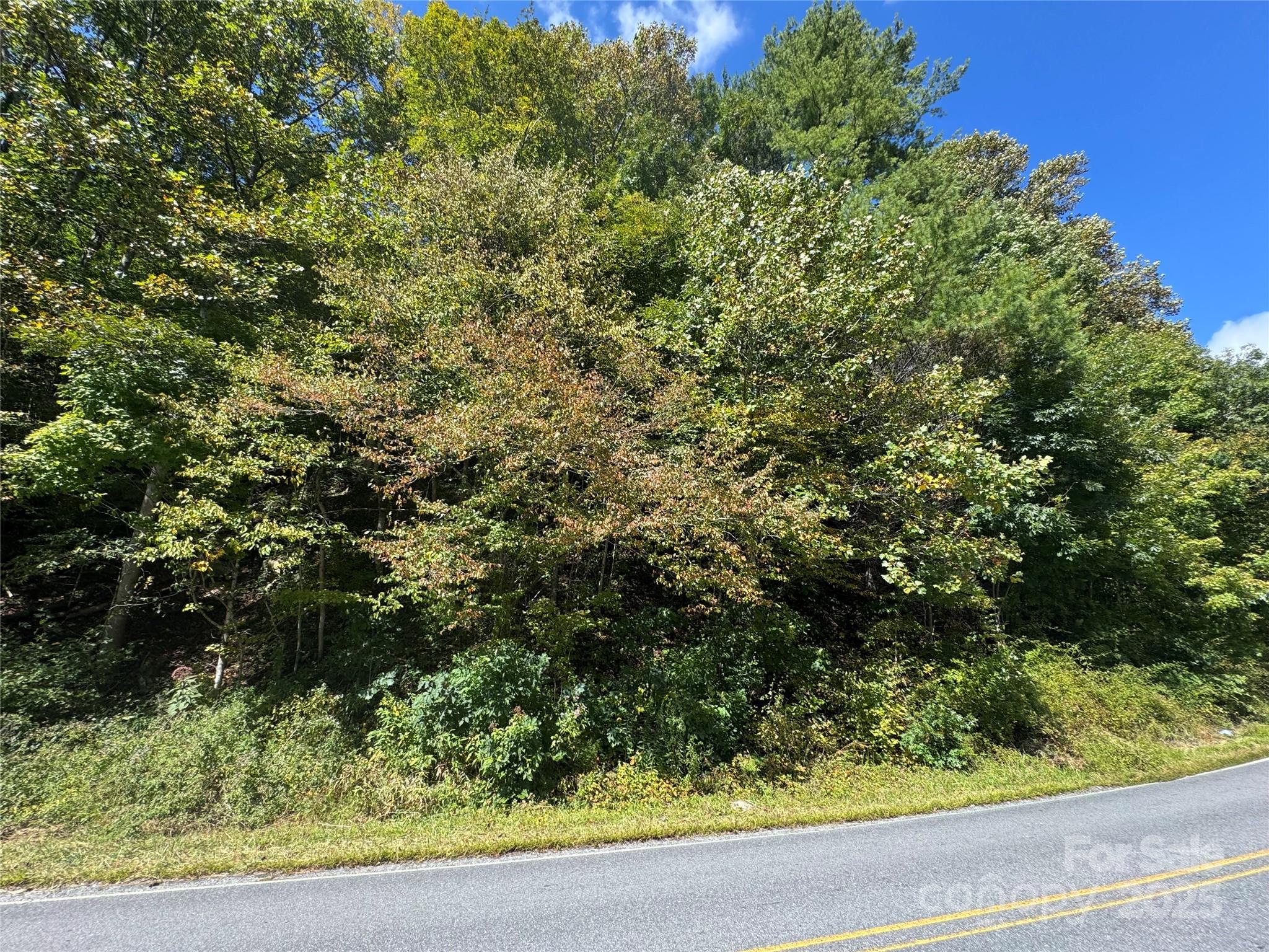 00 Puncheon Fork Road Property Photo 8