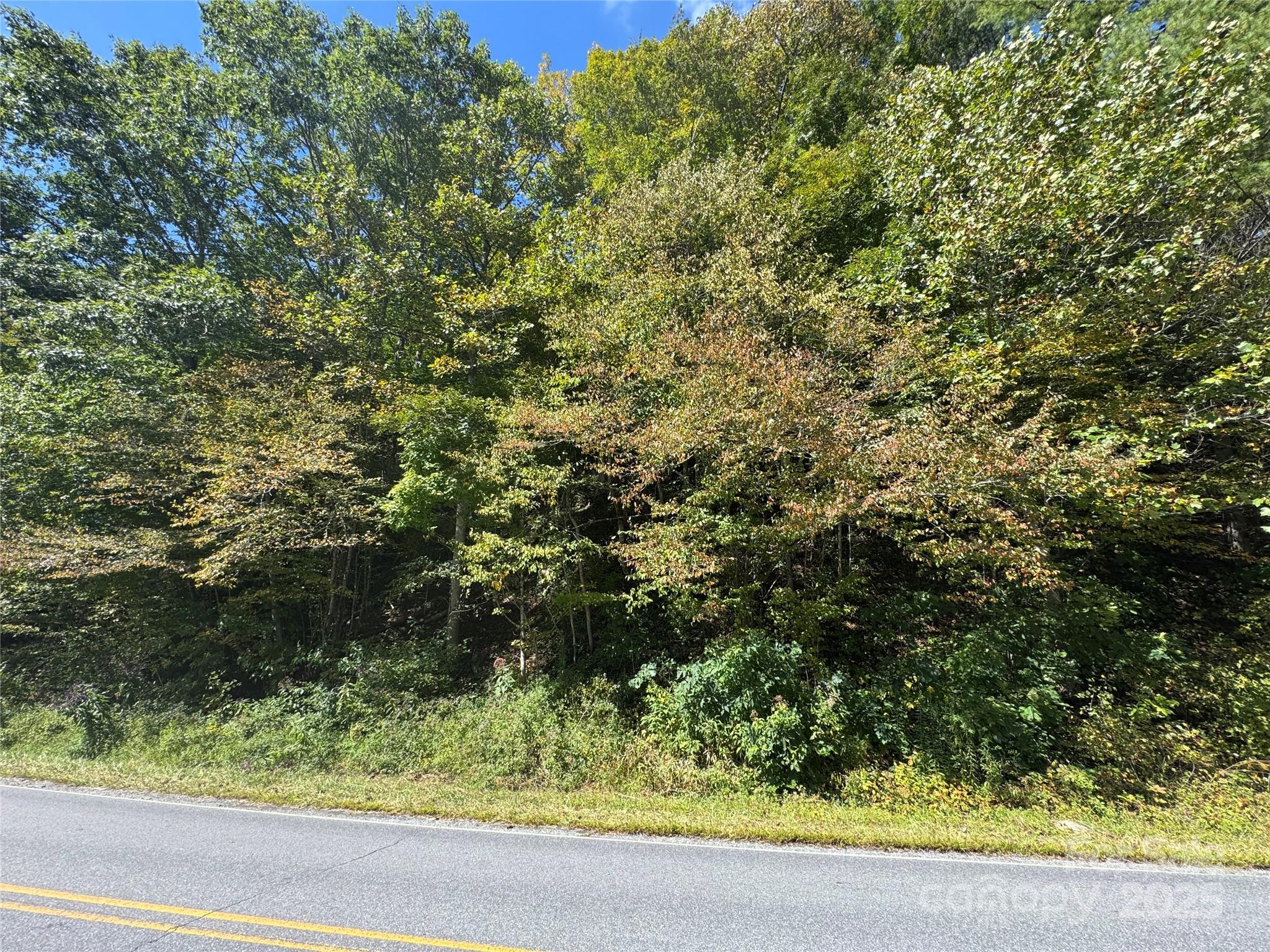 00 Puncheon Fork Road Property Photo 9