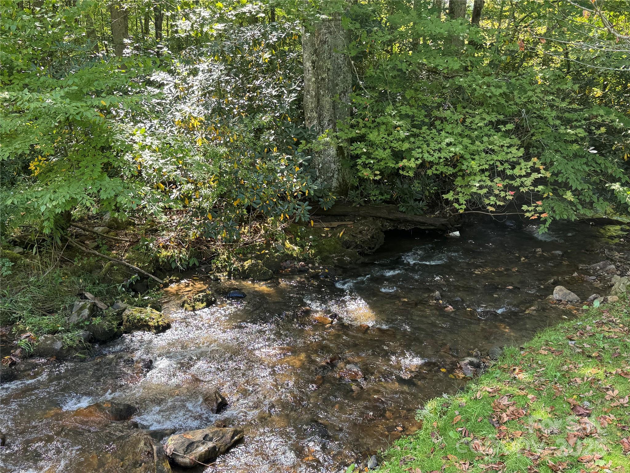00 Puncheon Fork Road Property Photo 13