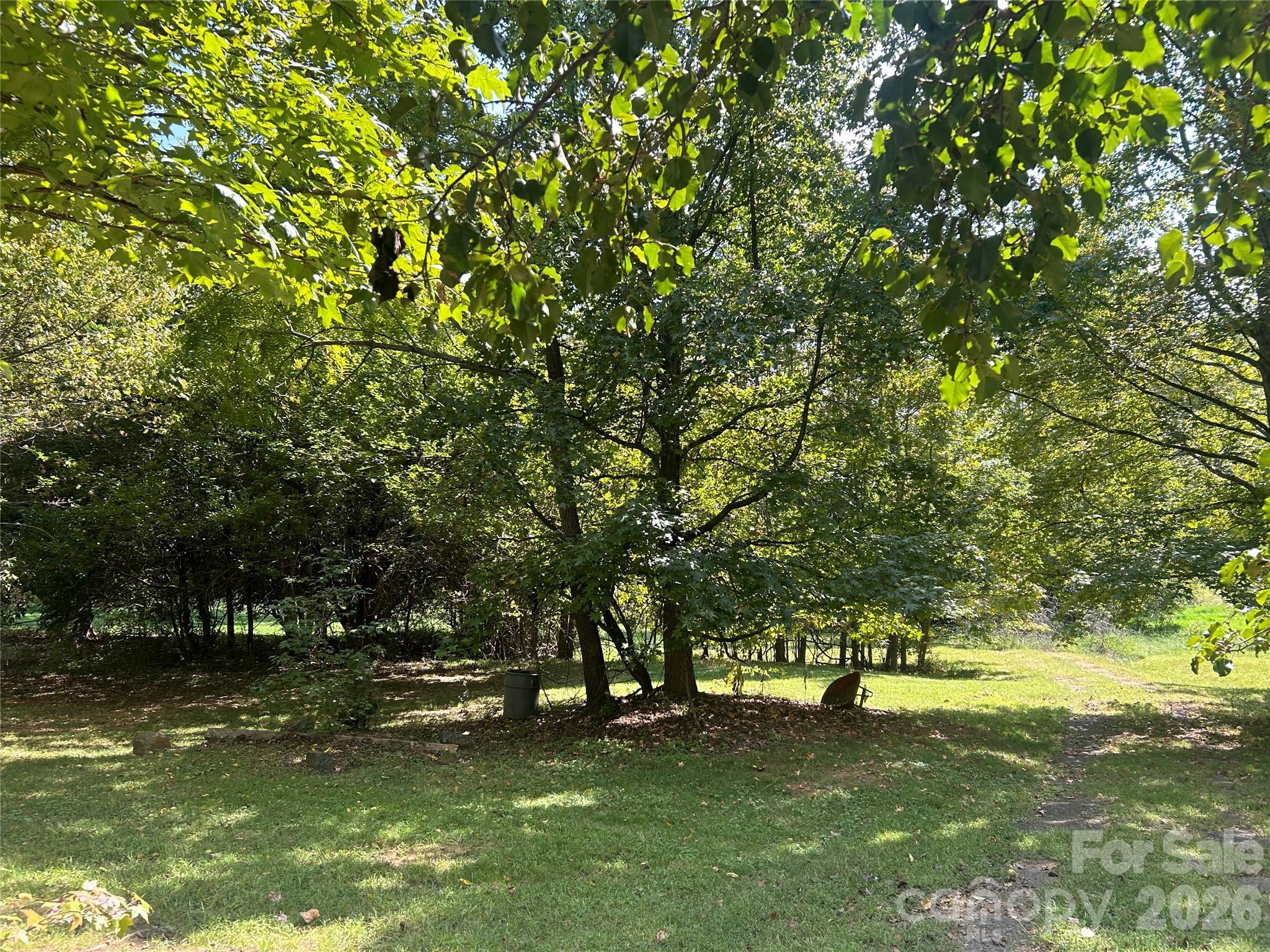 335 Catawba Avenue Property Photo 3