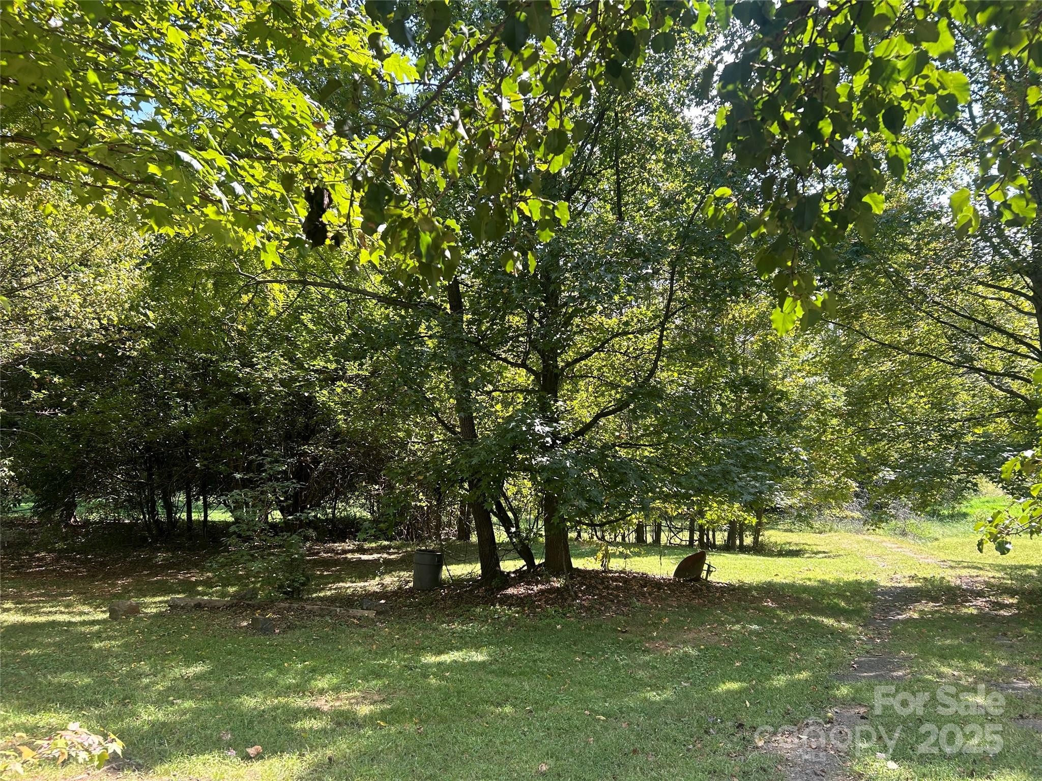 335 Catawba Avenue Property Photo 4