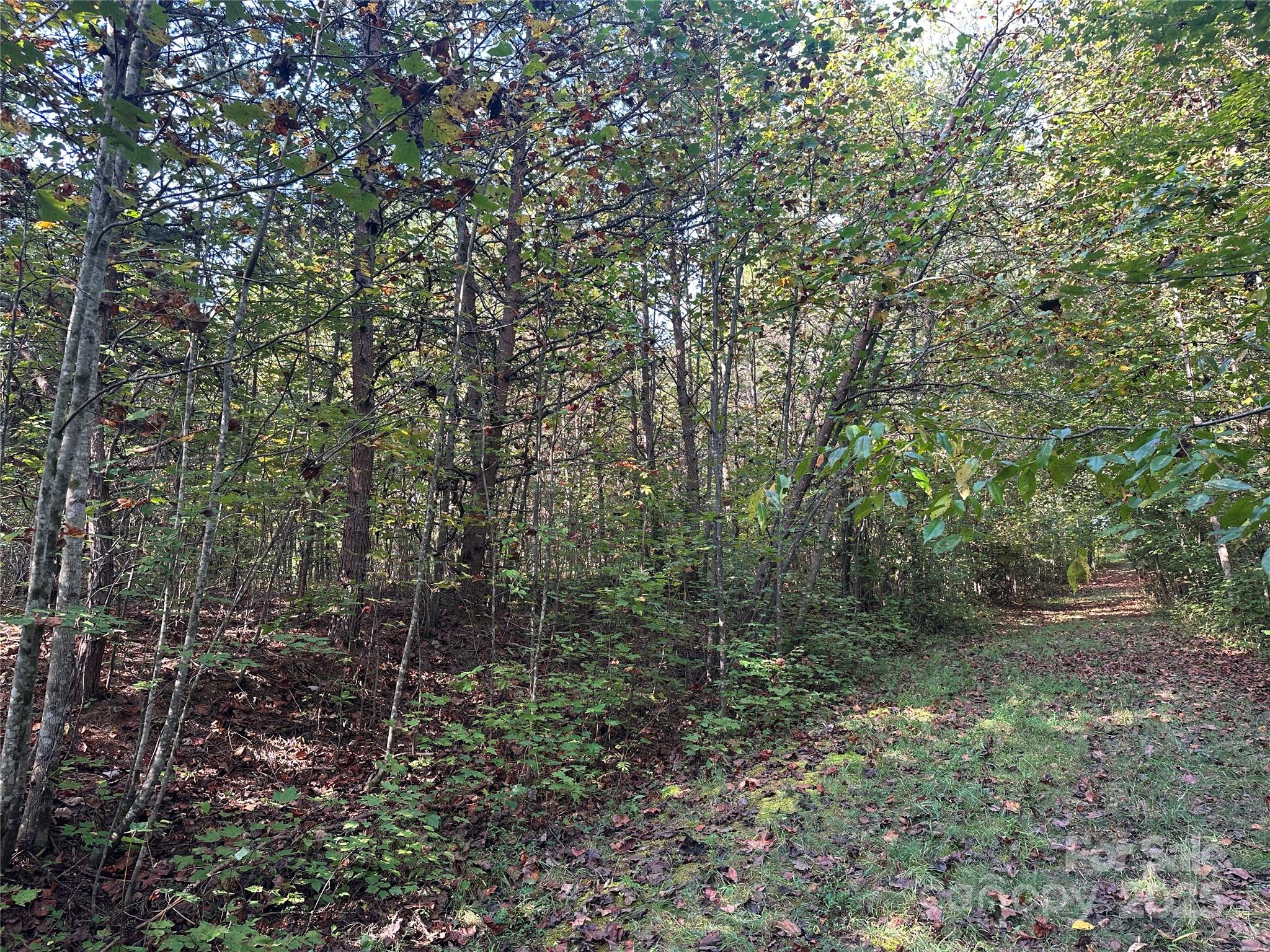 Tract 1 Off Timber Road Property Photo 1