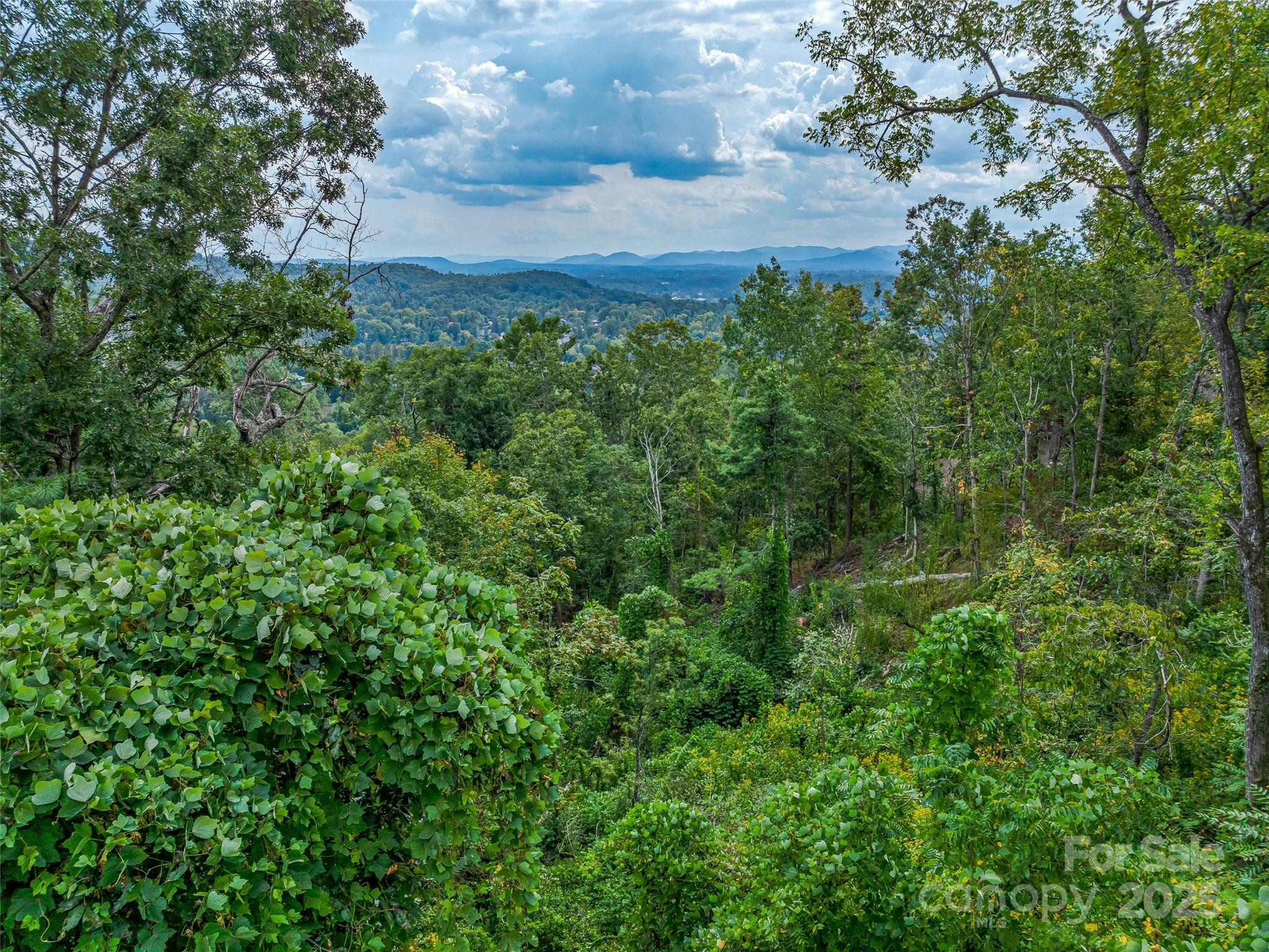 147 Senator Reynolds Road Property Photo 2