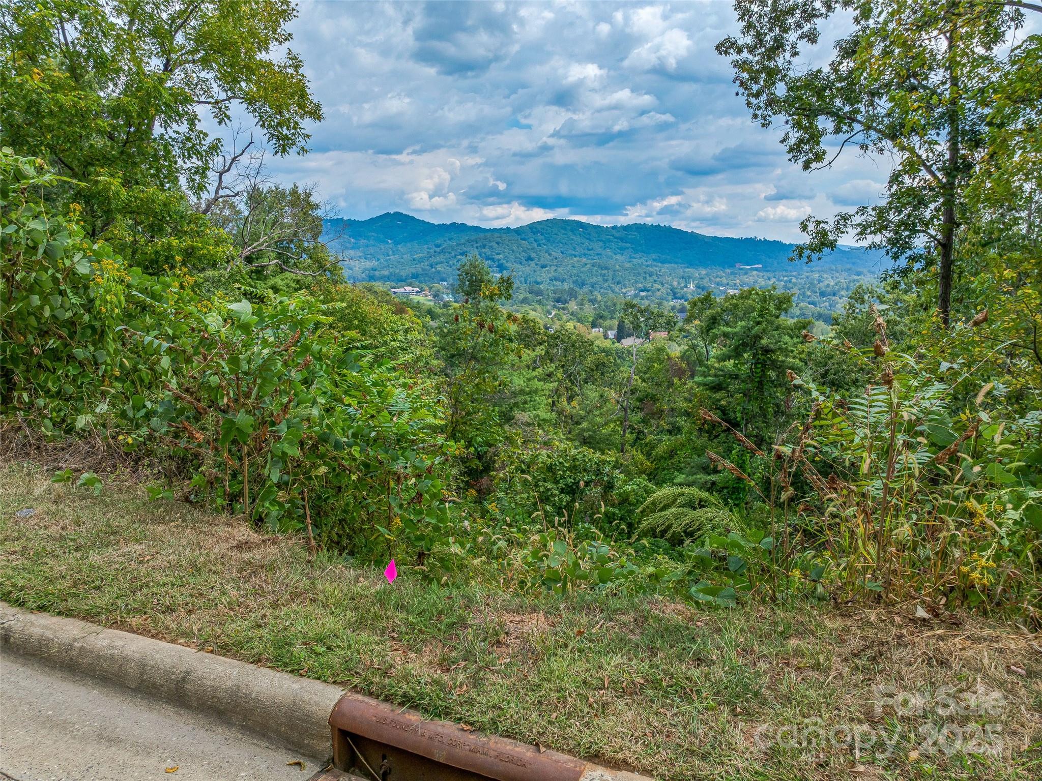 147 Senator Reynolds Road Property Photo 9