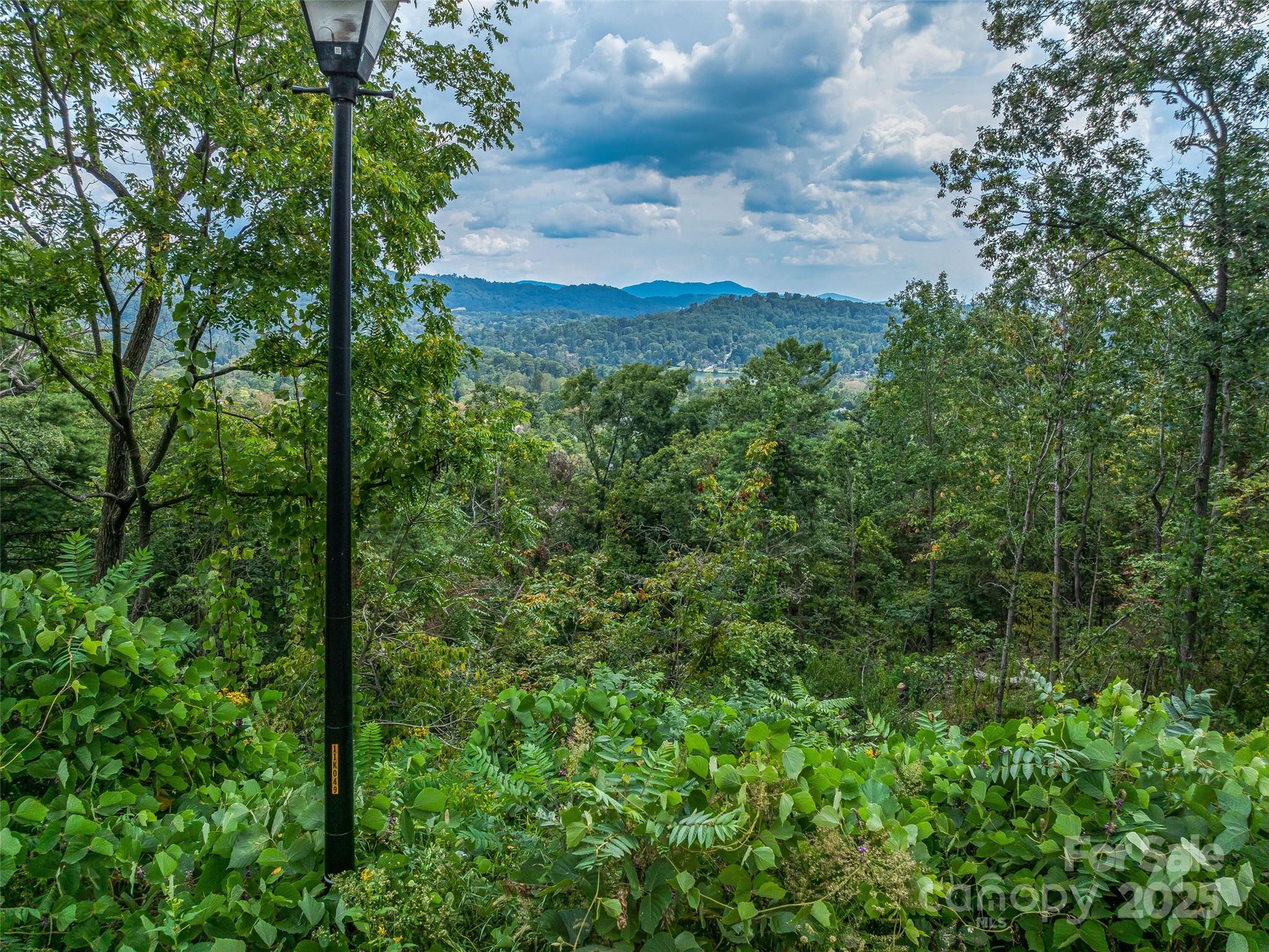 147 Senator Reynolds Road Property Photo 22