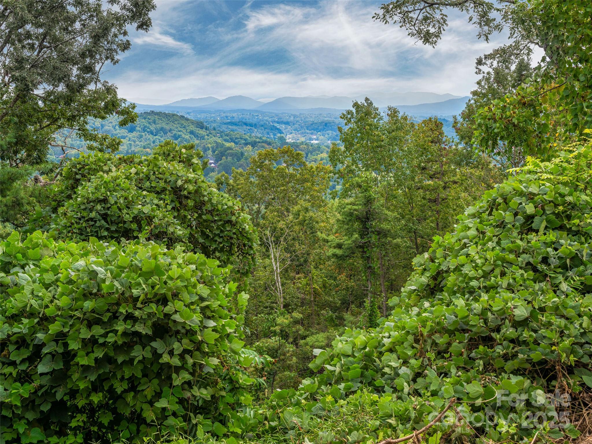 147 Senator Reynolds Road Property Photo 24