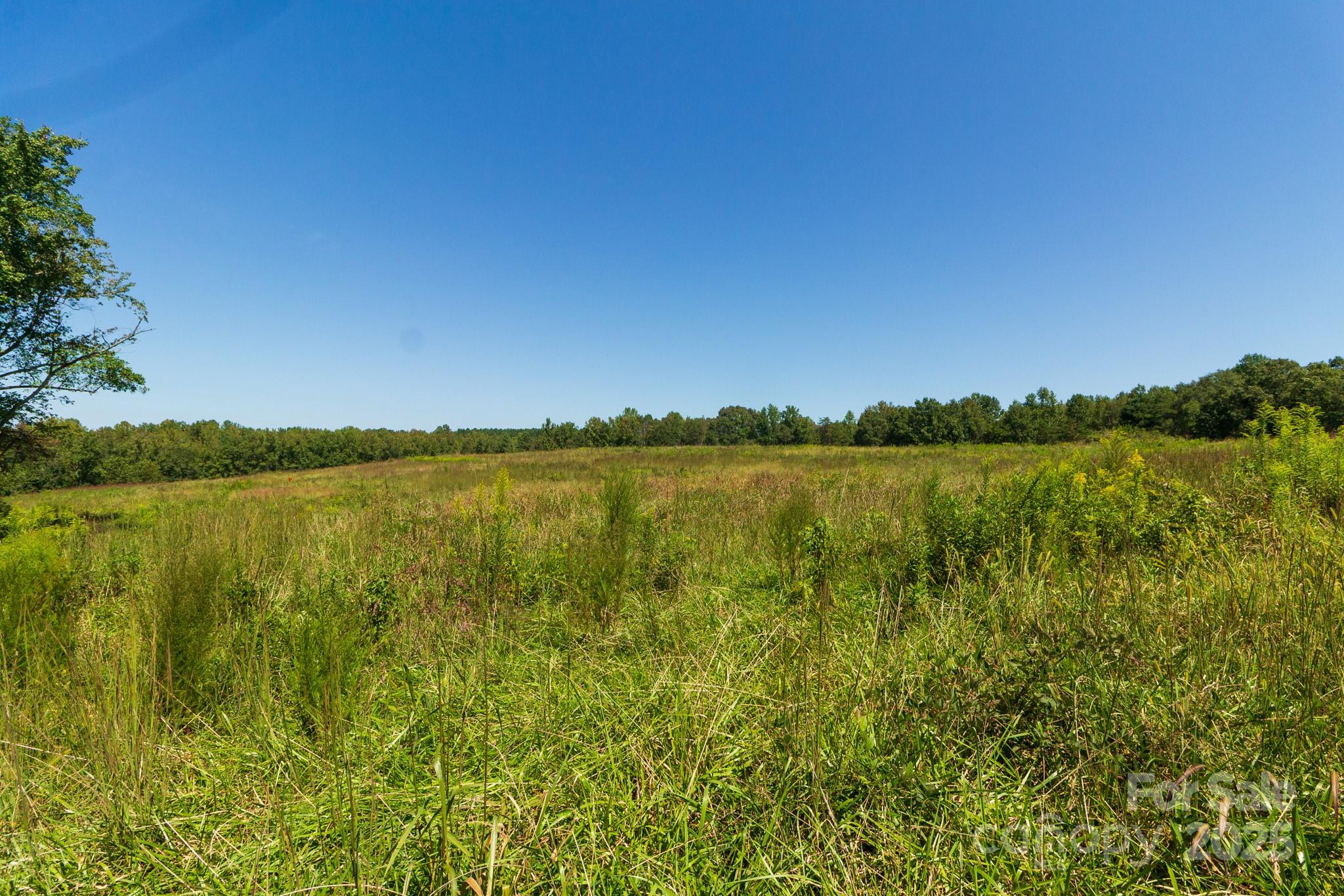 2237 Ellis Road Property Photo 9