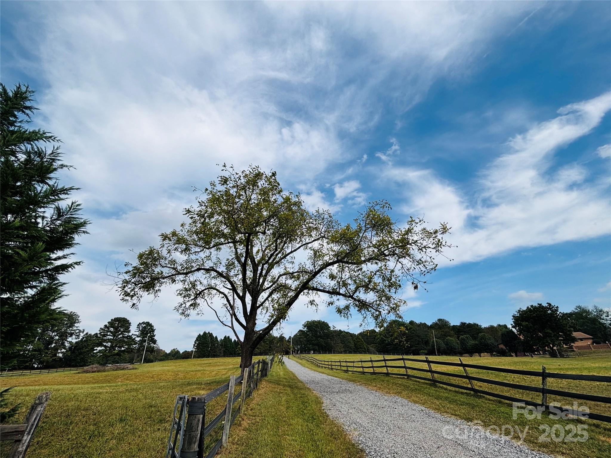173 Backcreek Lane Property Photo 7