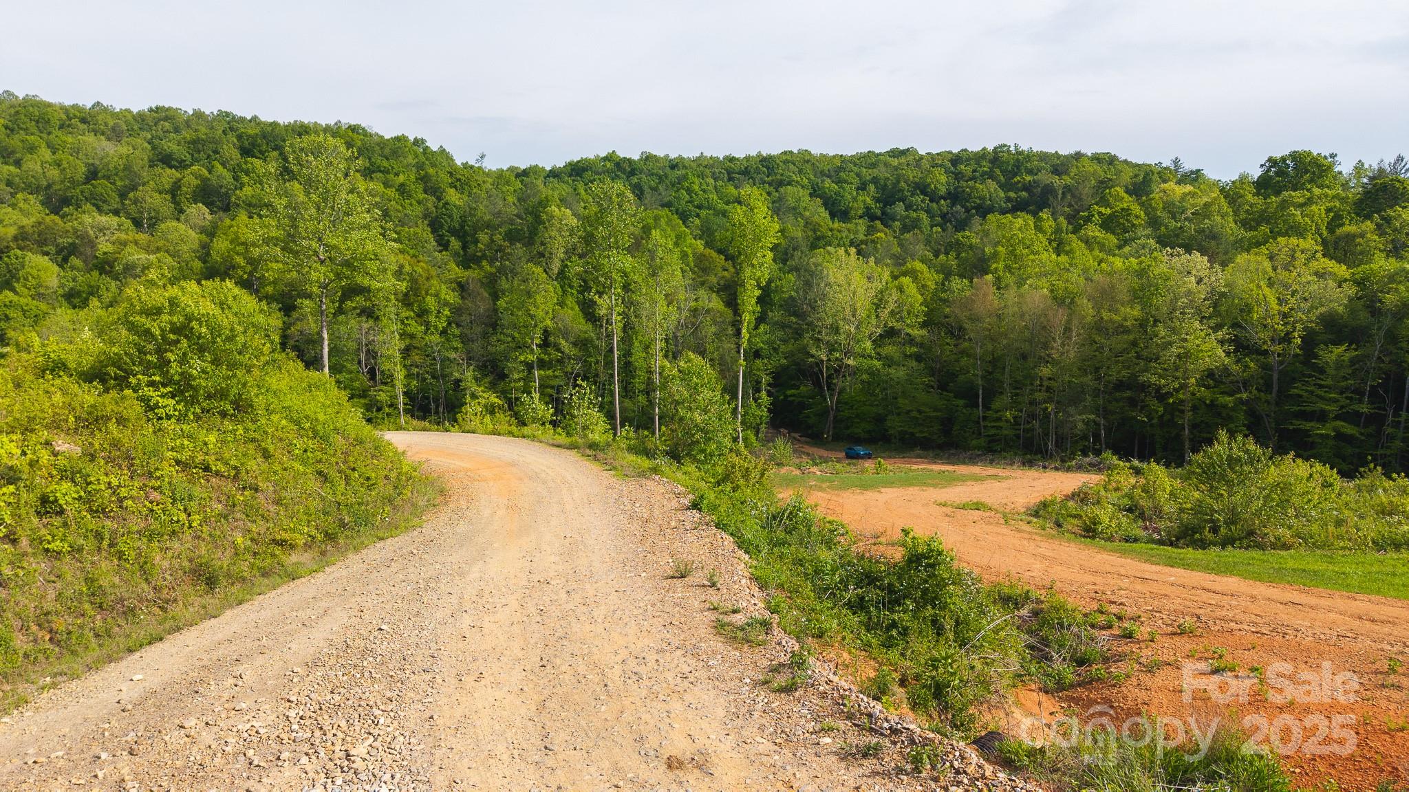 Tbd Hose Road Property Photo 4