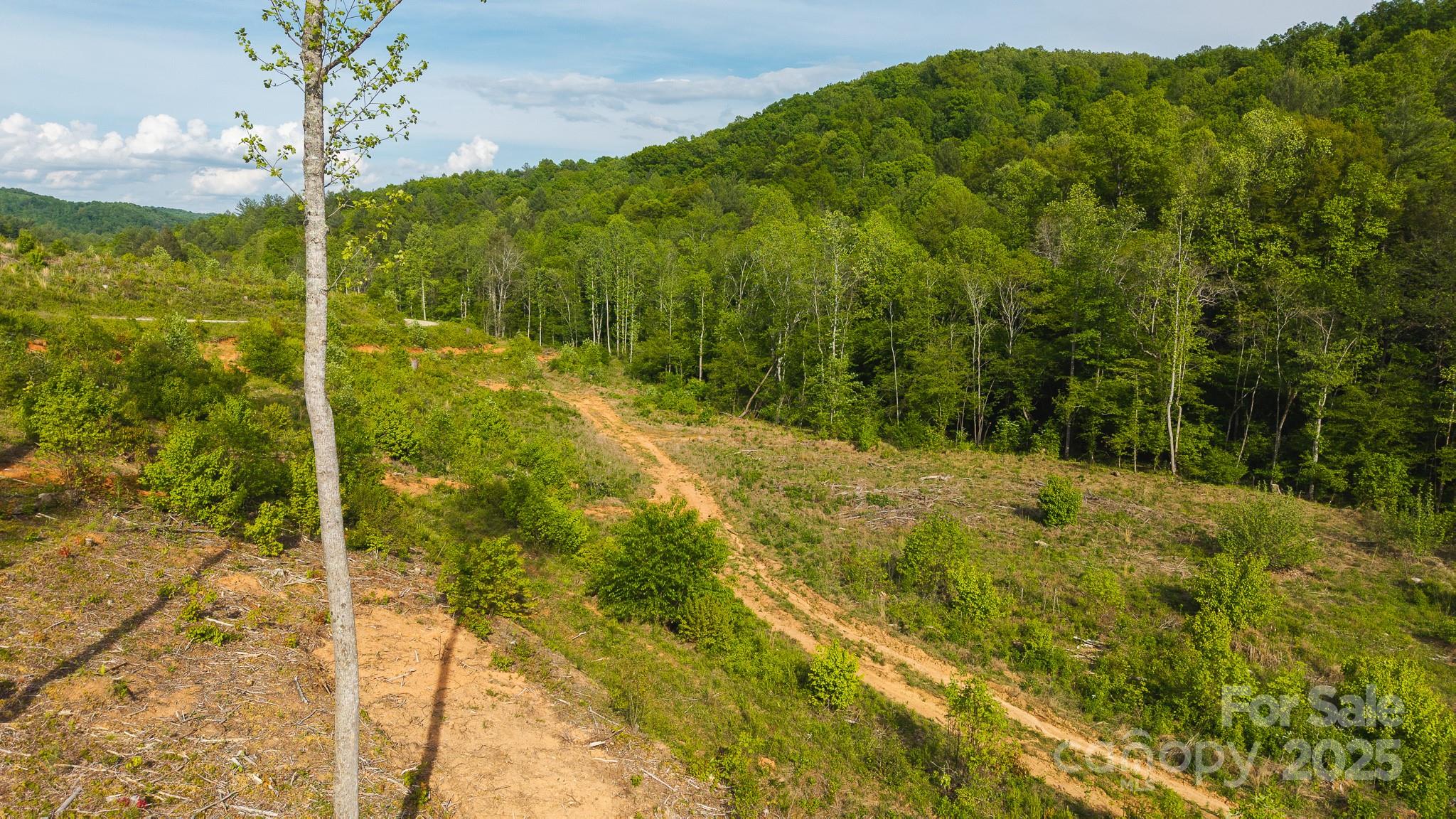 Tbd Hose Road Property Photo 8