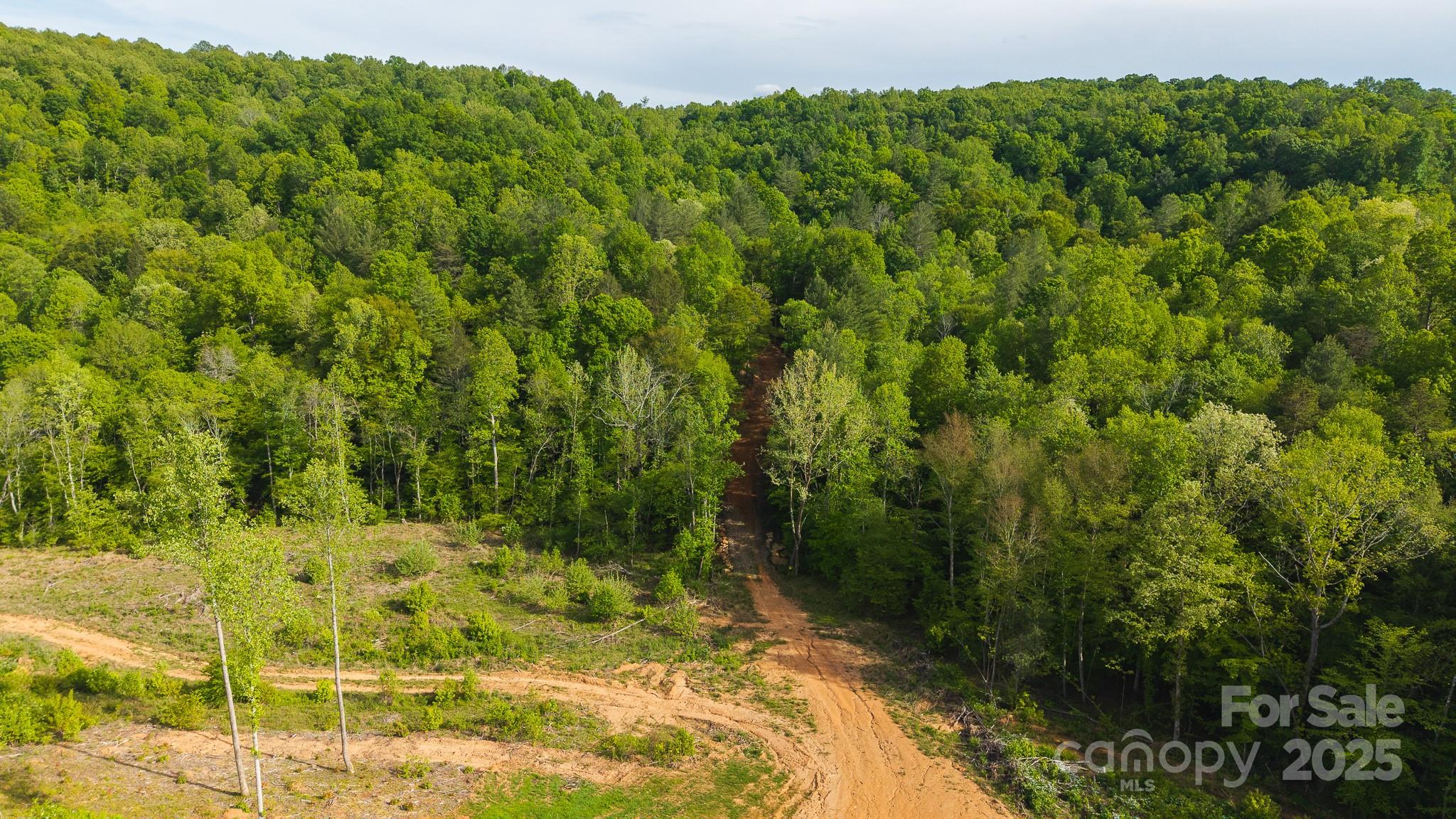 Tbd Hose Road Property Photo 11