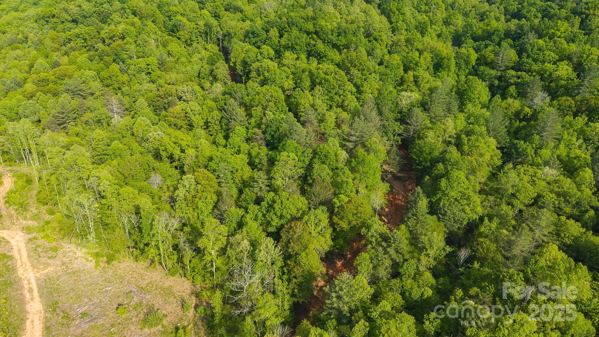 Tbd Hose Road Property Photo 12