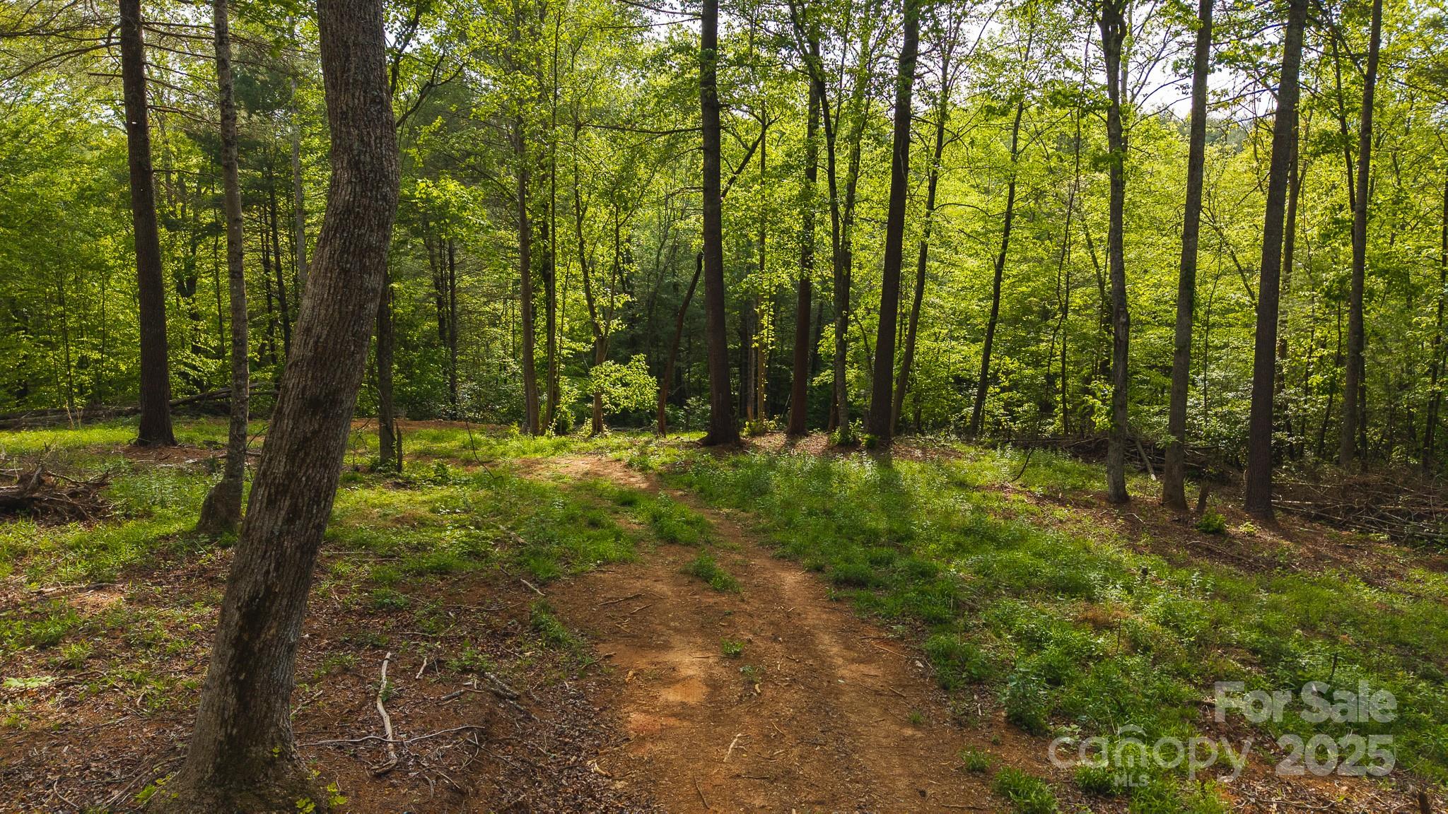 Tbd Hose Road Property Photo 16