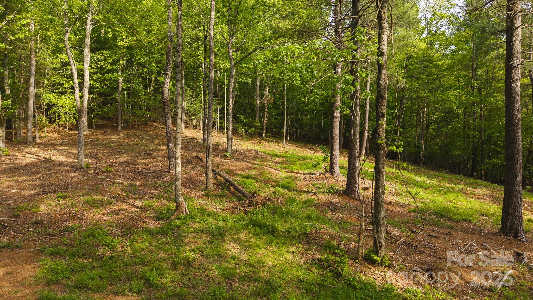 Tbd Hose Road Property Photo 17