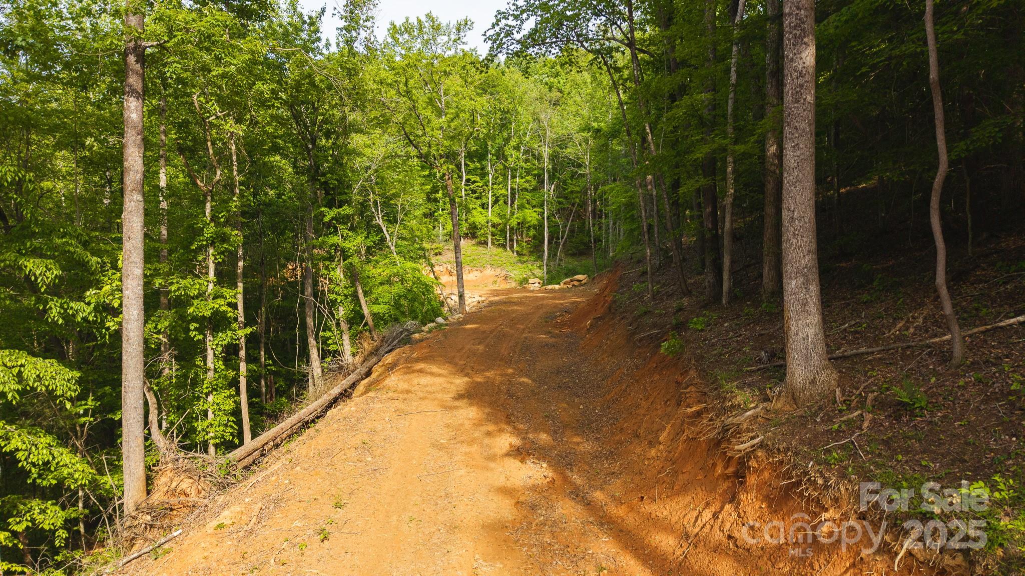 Tbd Hose Road Property Photo 18