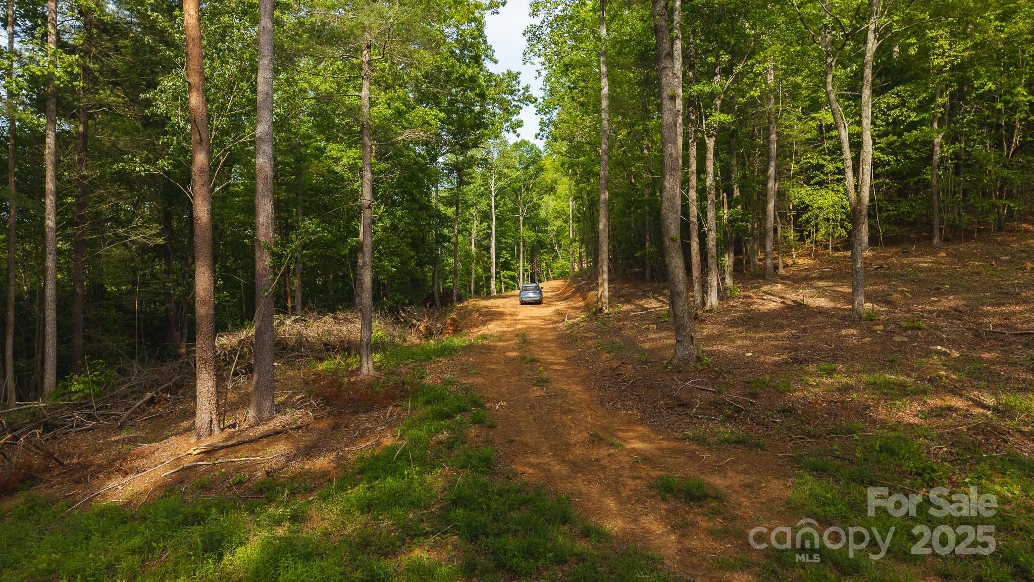 Tbd Hose Road Property Photo 23