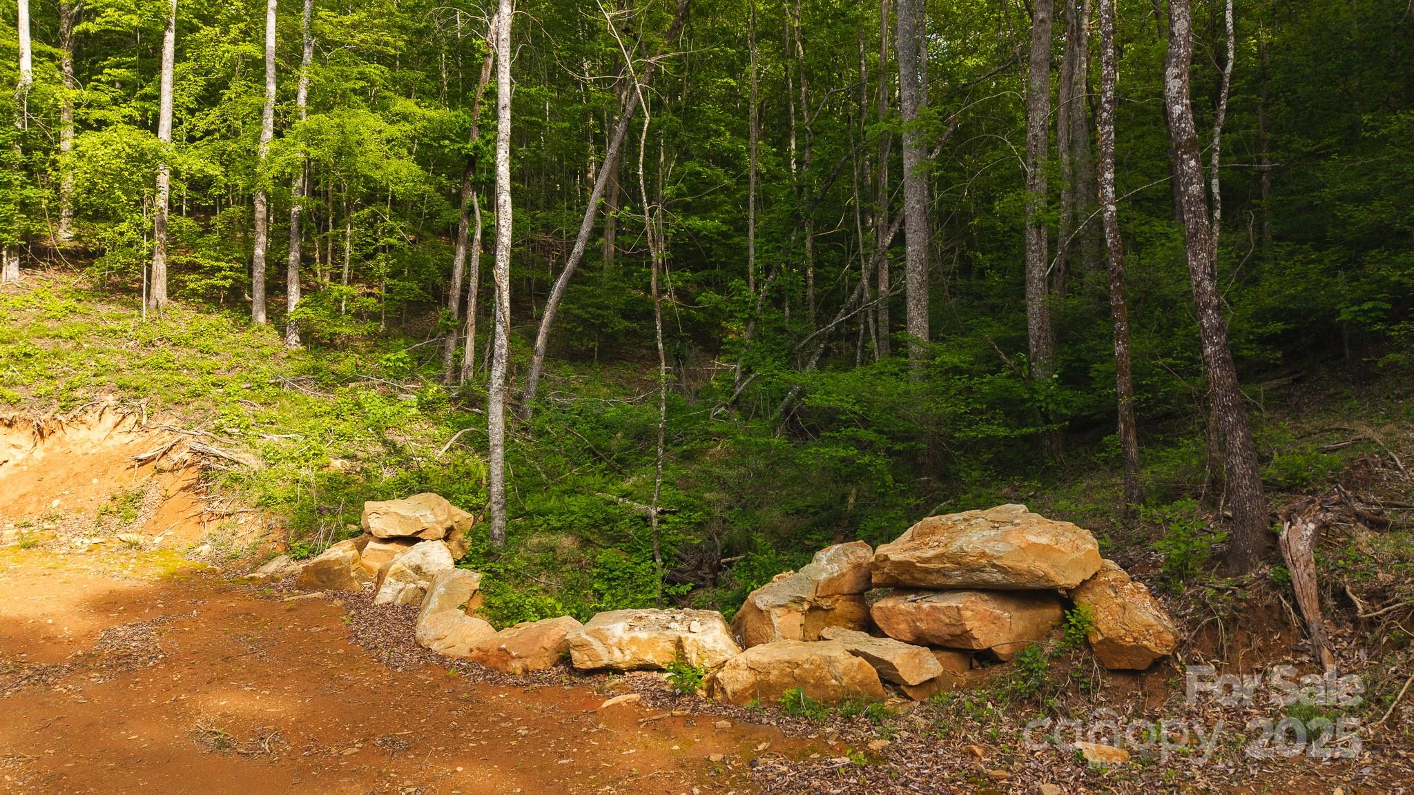 Tbd Hose Road Property Photo 24