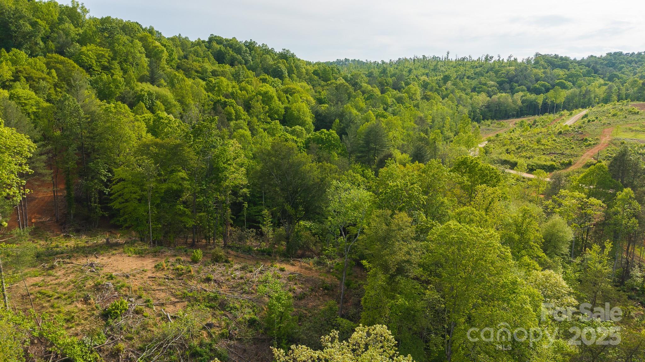 Tbd Hose Road Property Photo 27